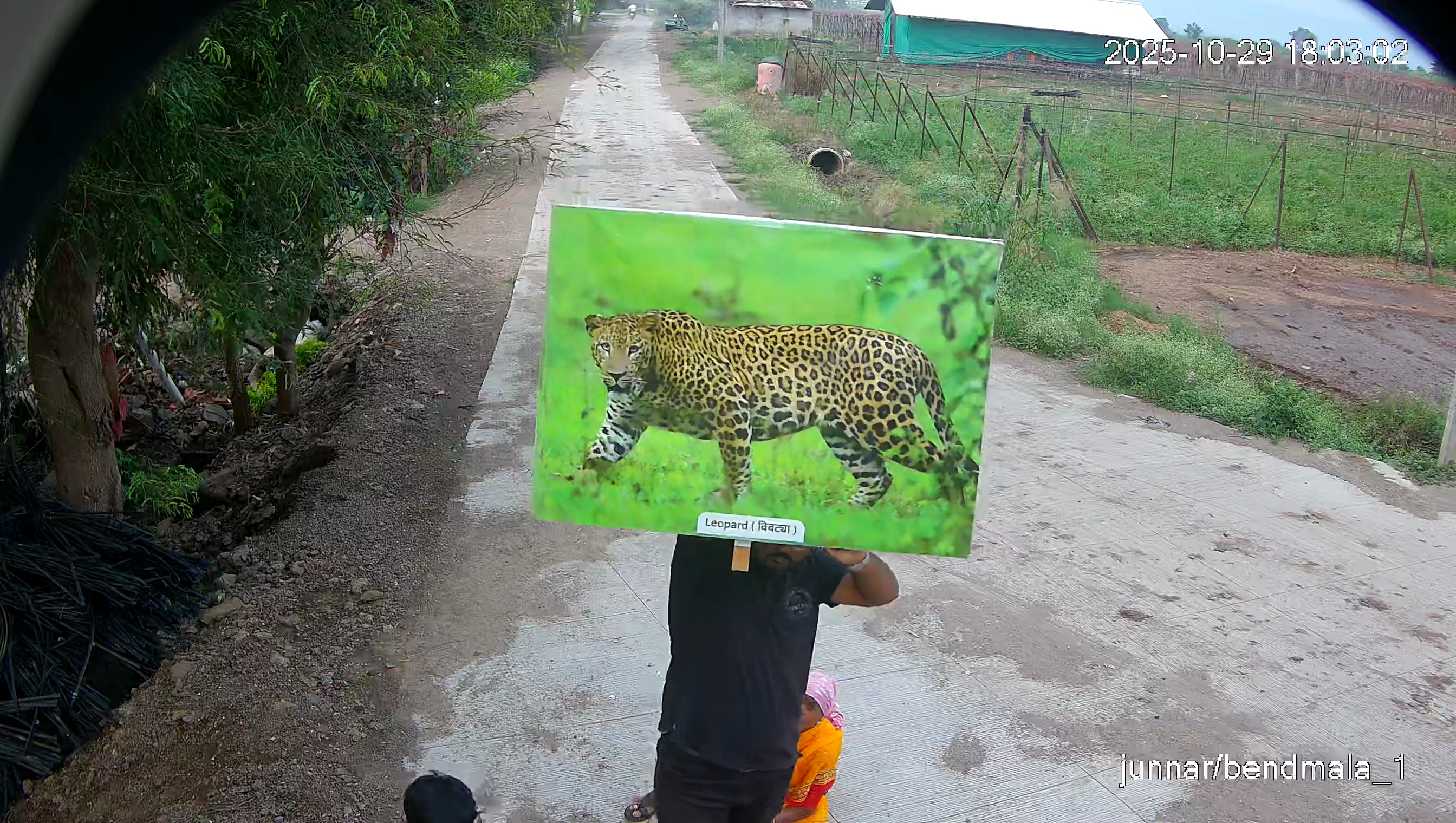 Leopard Image