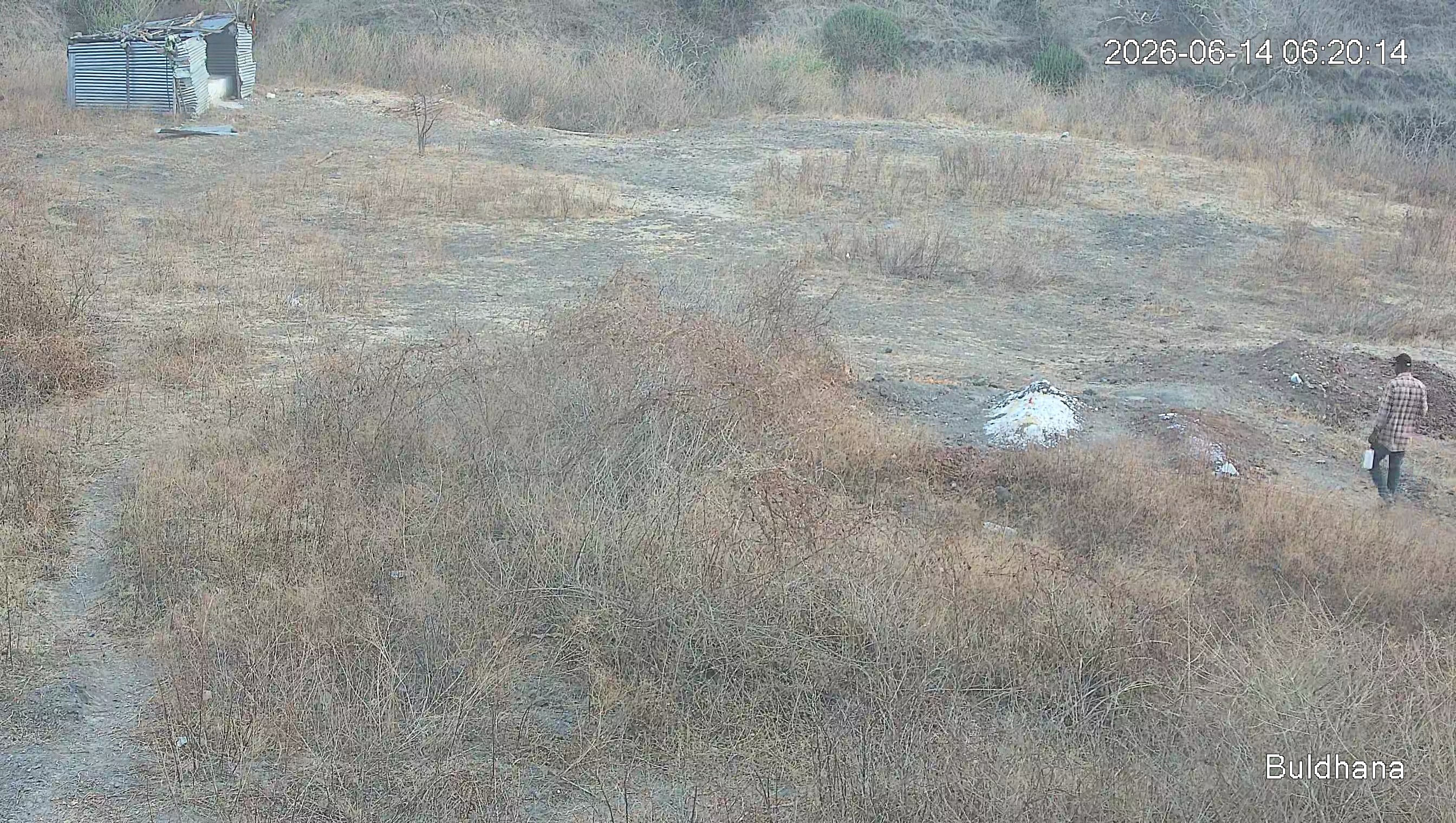 Leopard Image