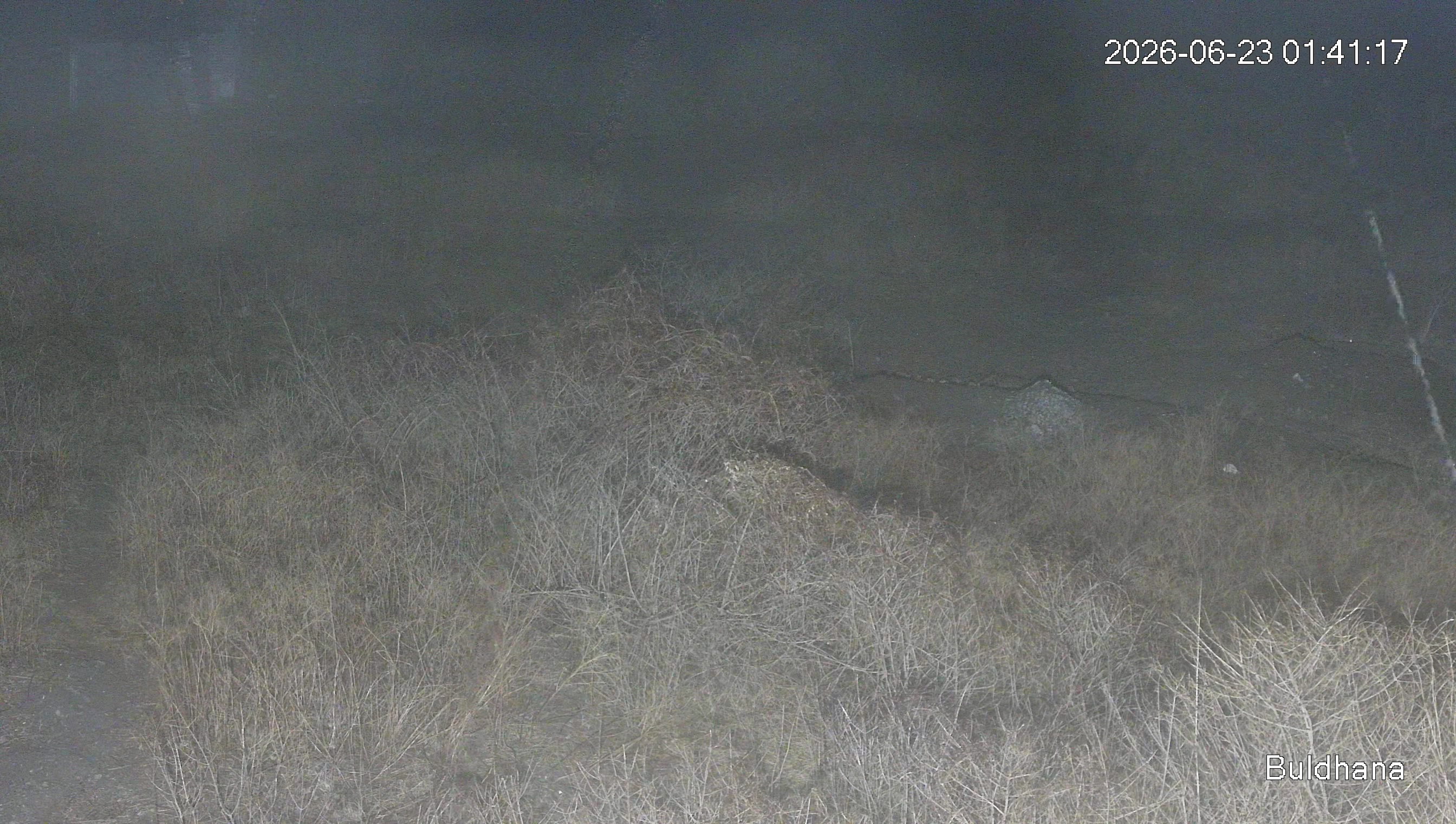 Leopard Image