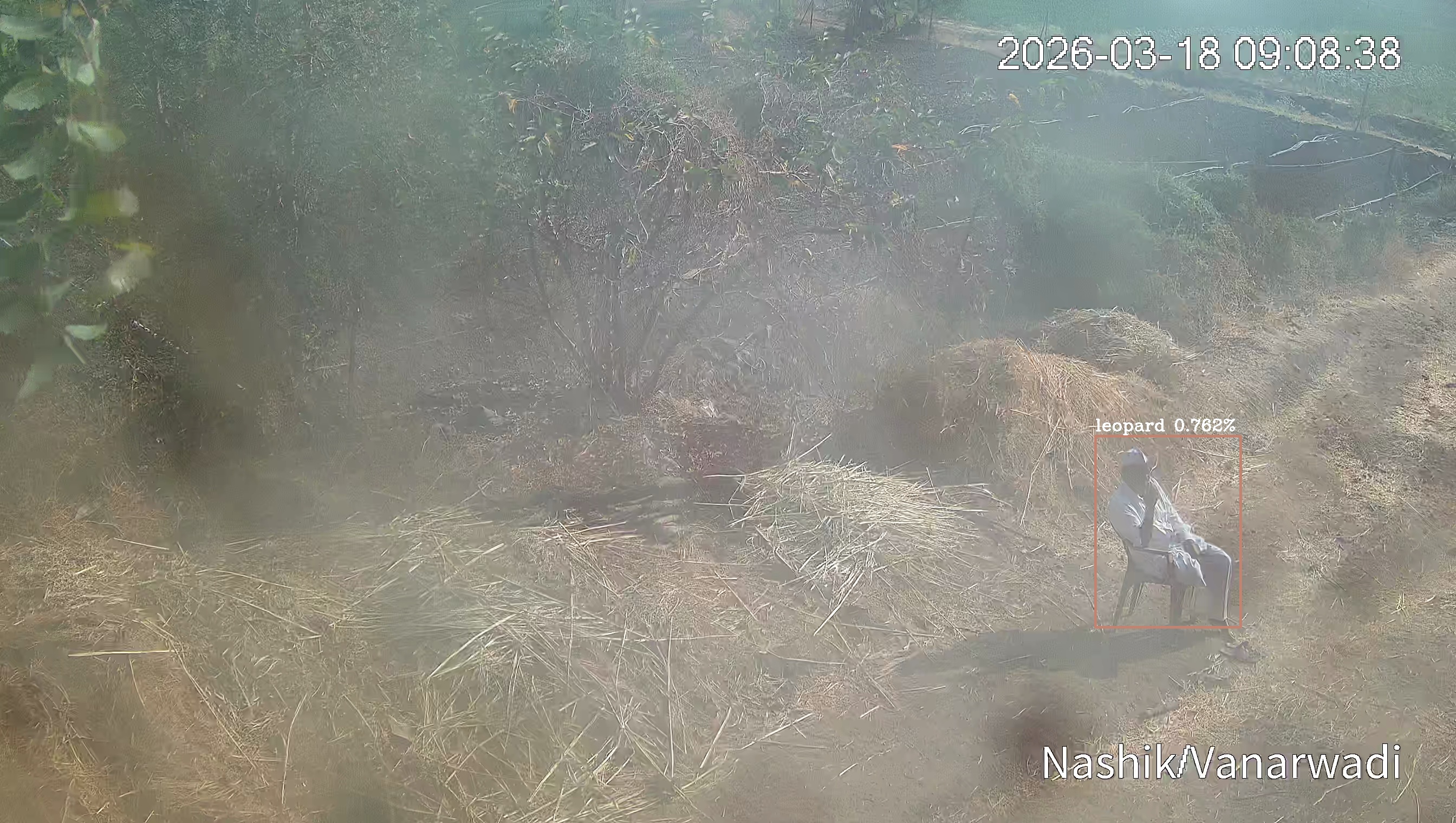 Leopard Image