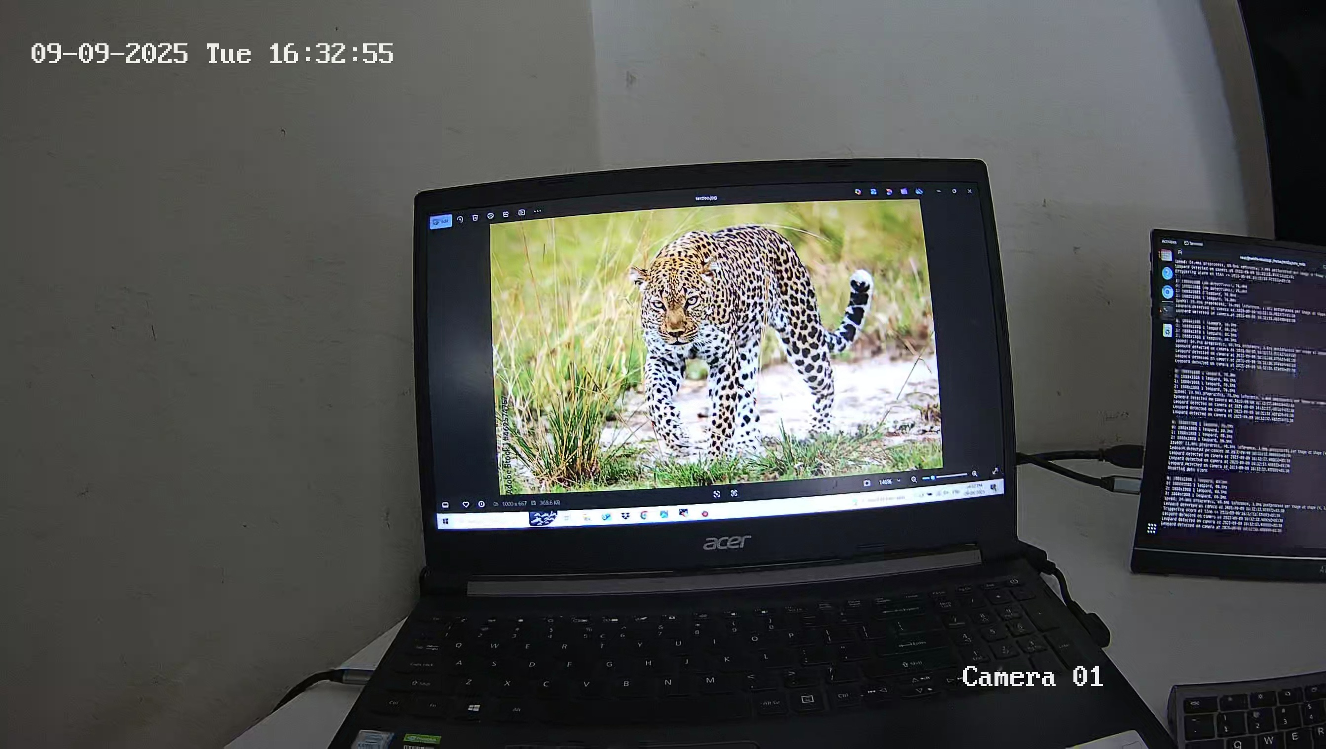 Leopard Image