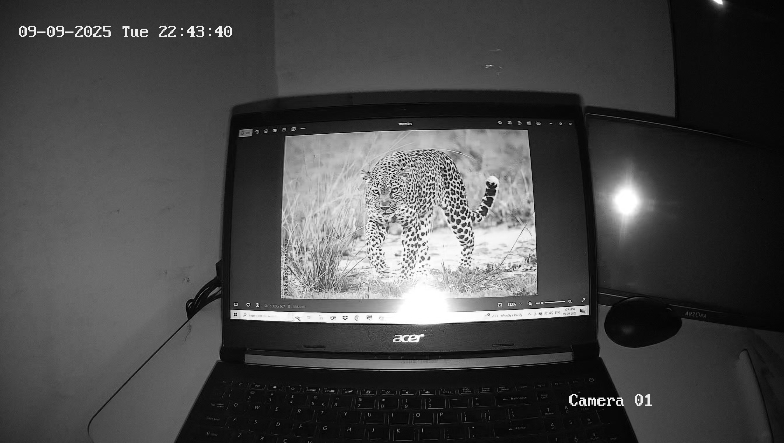 Leopard Image