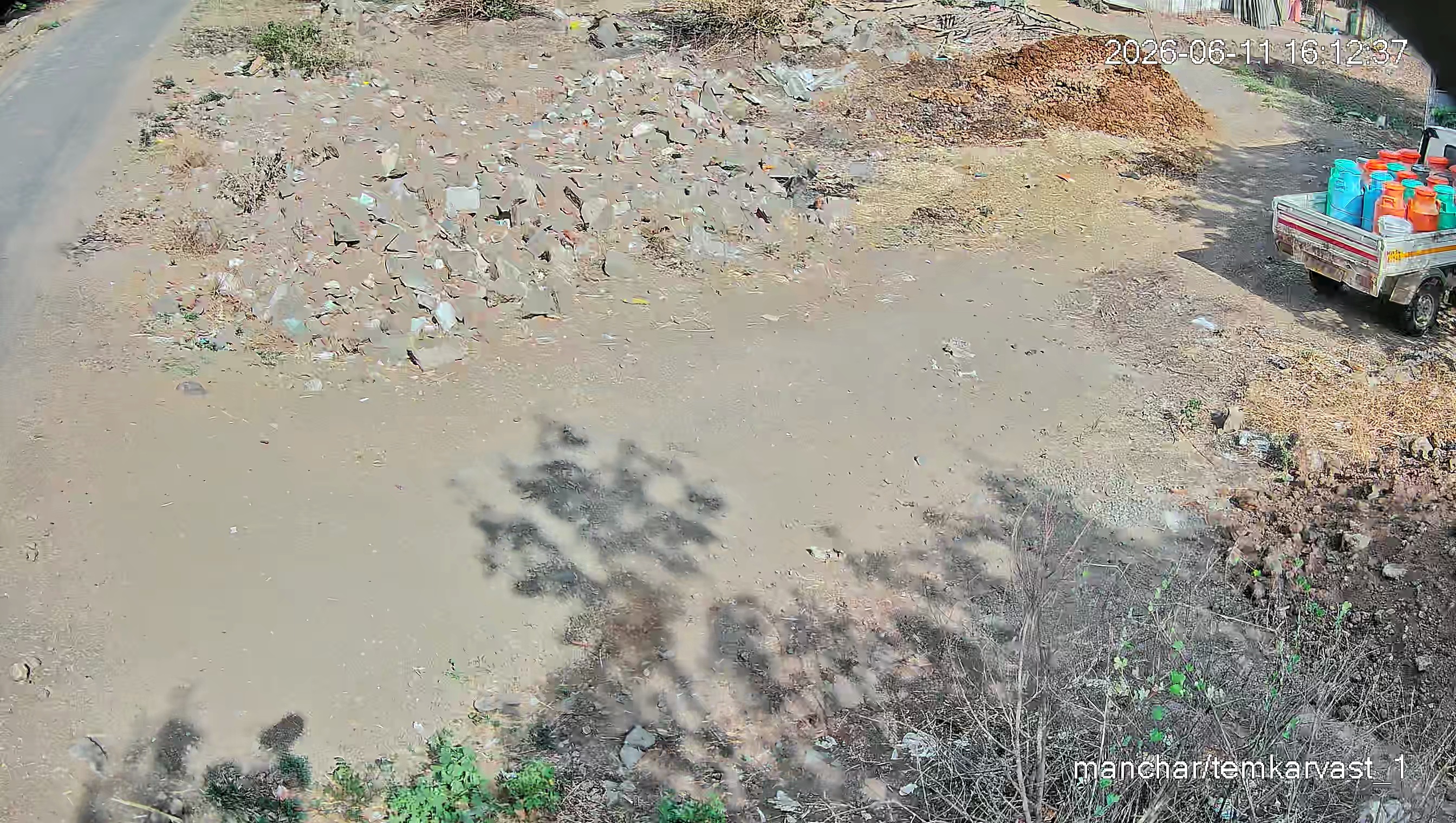 Leopard Image