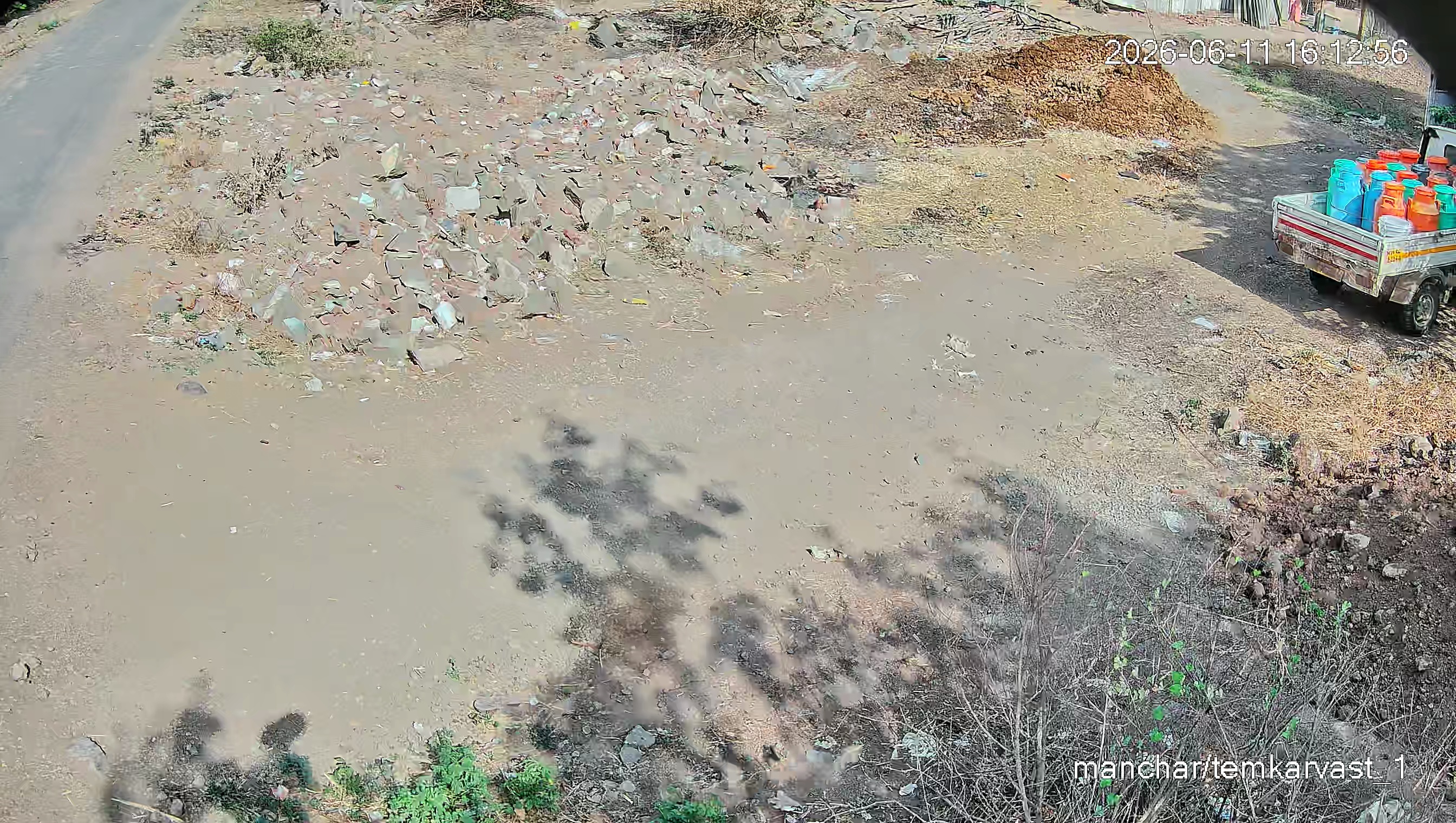 Leopard Image