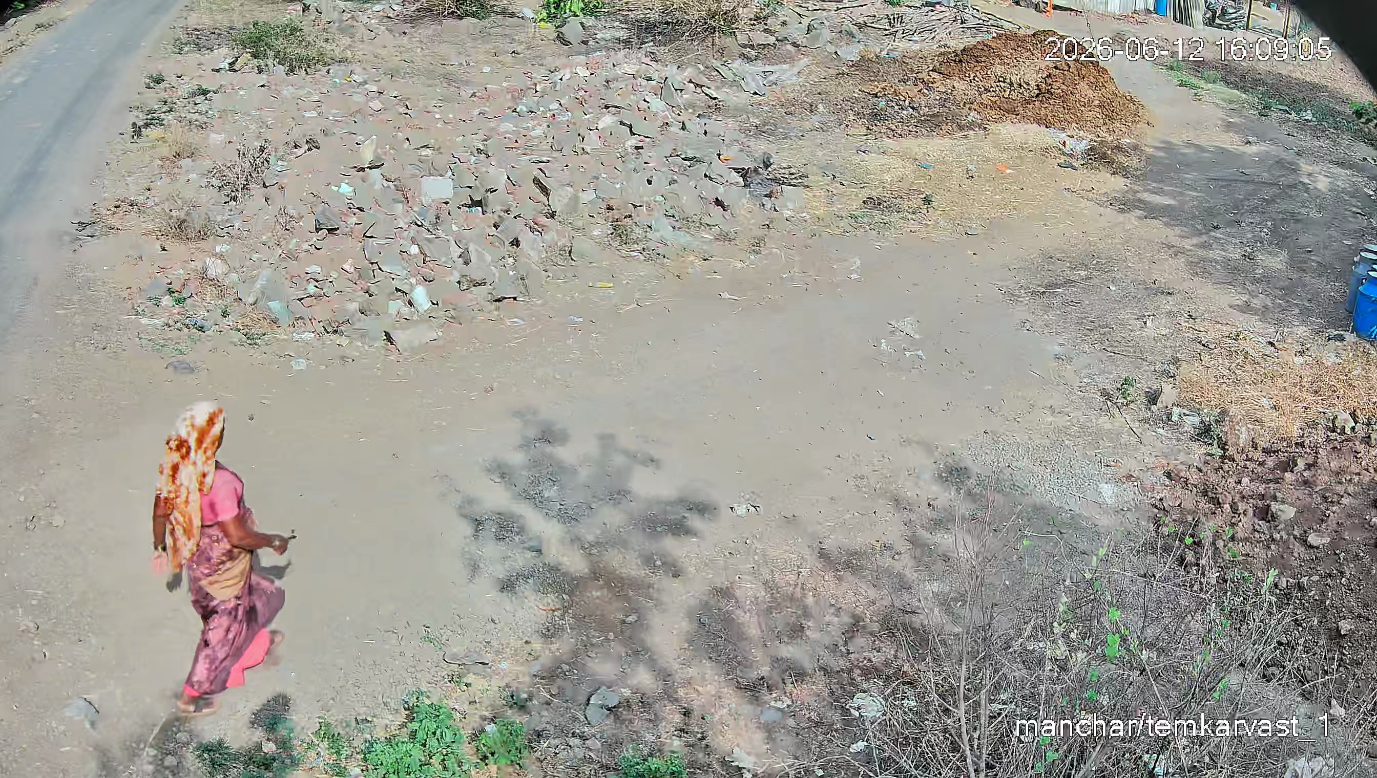 Leopard Image