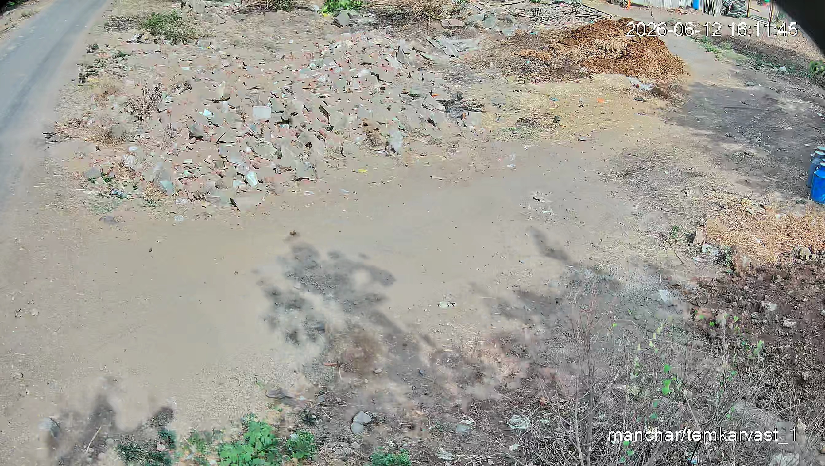 Leopard Image