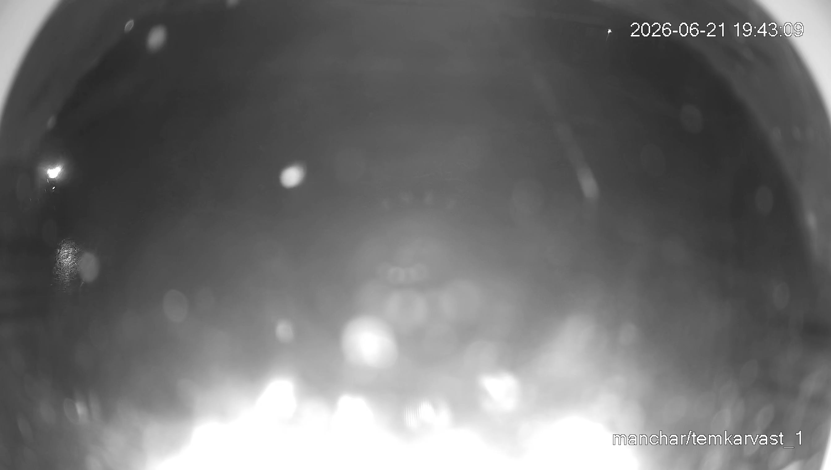 Leopard Image