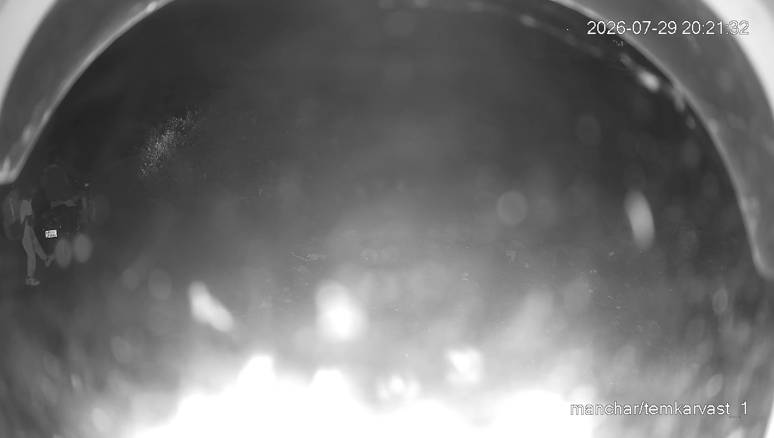 Leopard Image