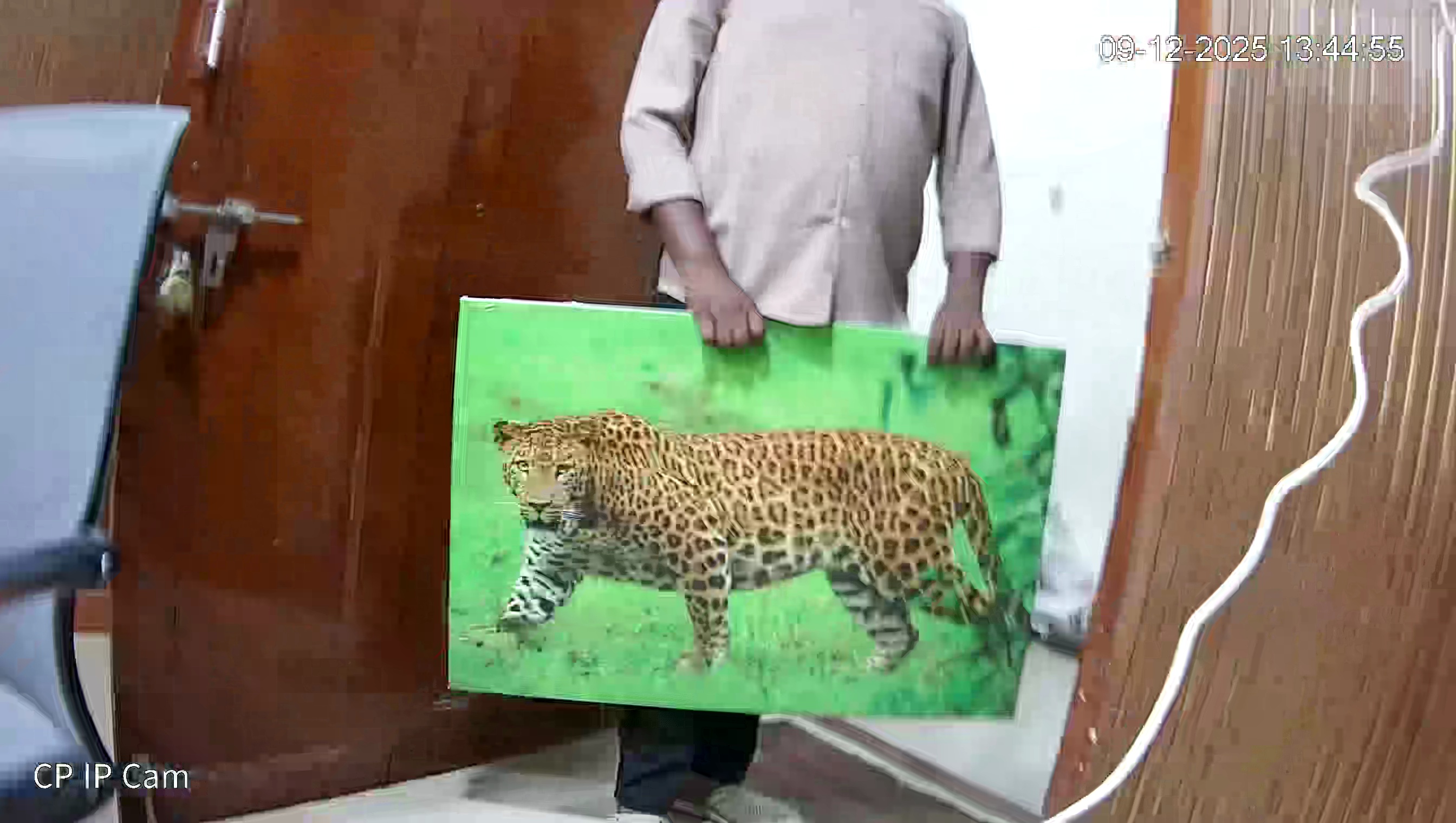 Leopard Image