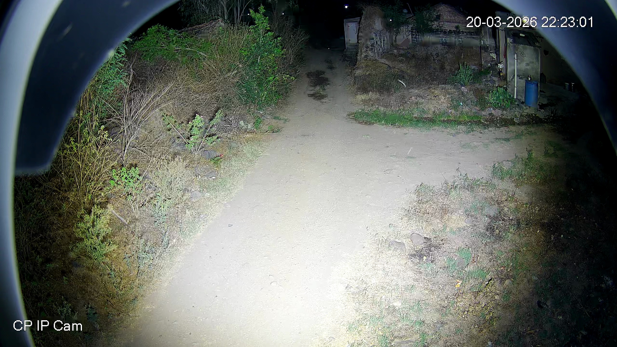 Leopard Image