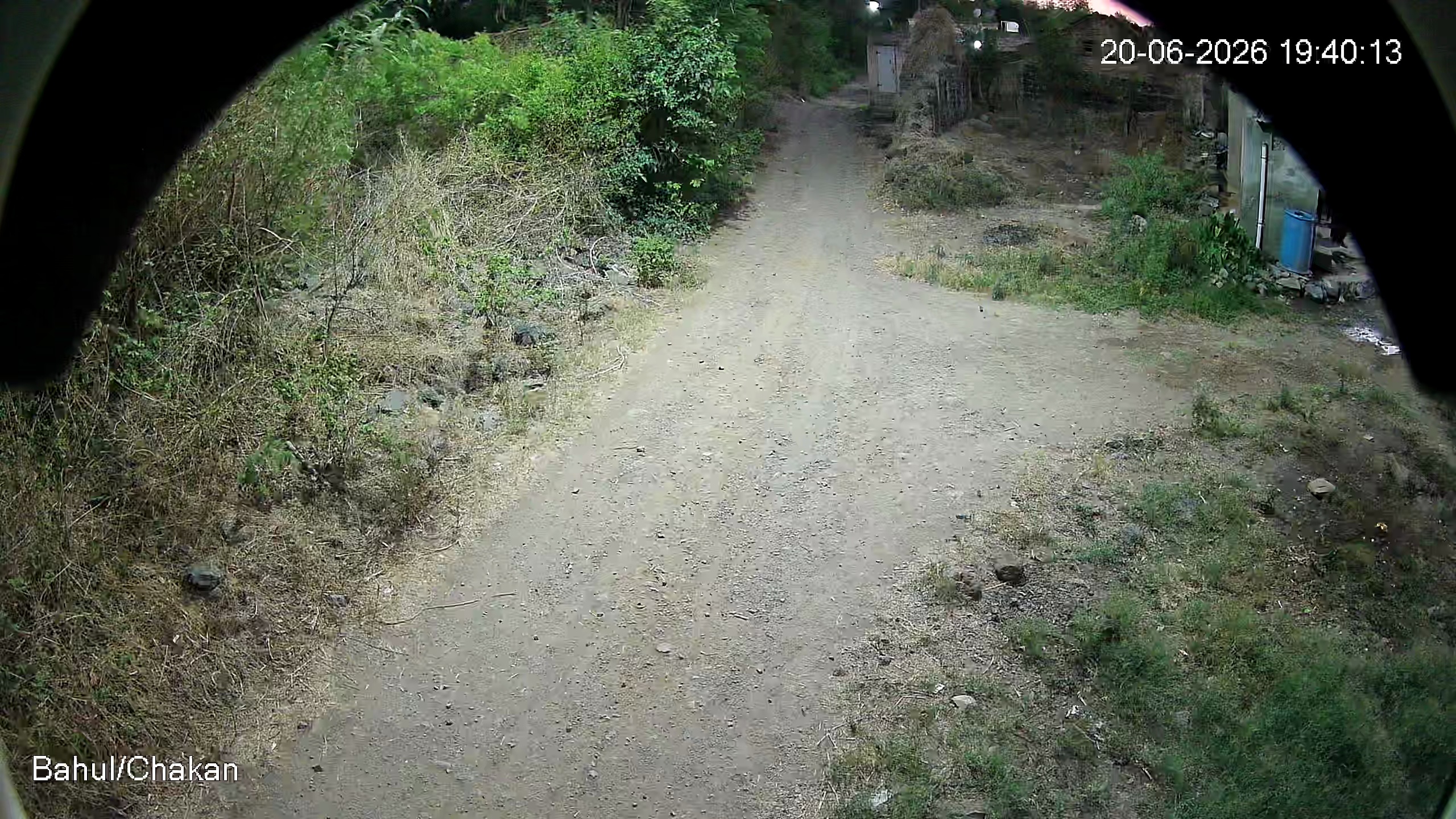 Leopard Image