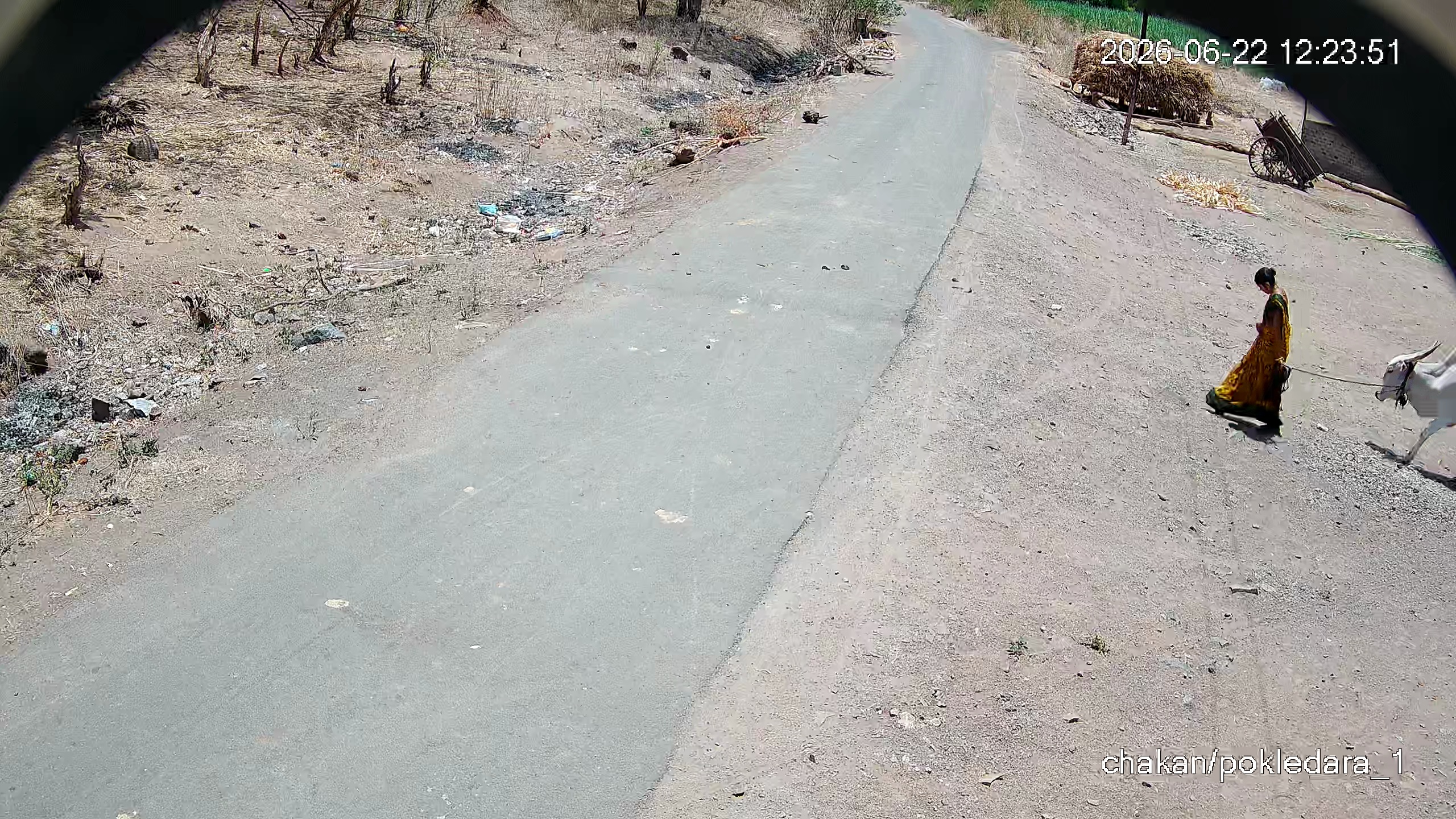 Leopard Image