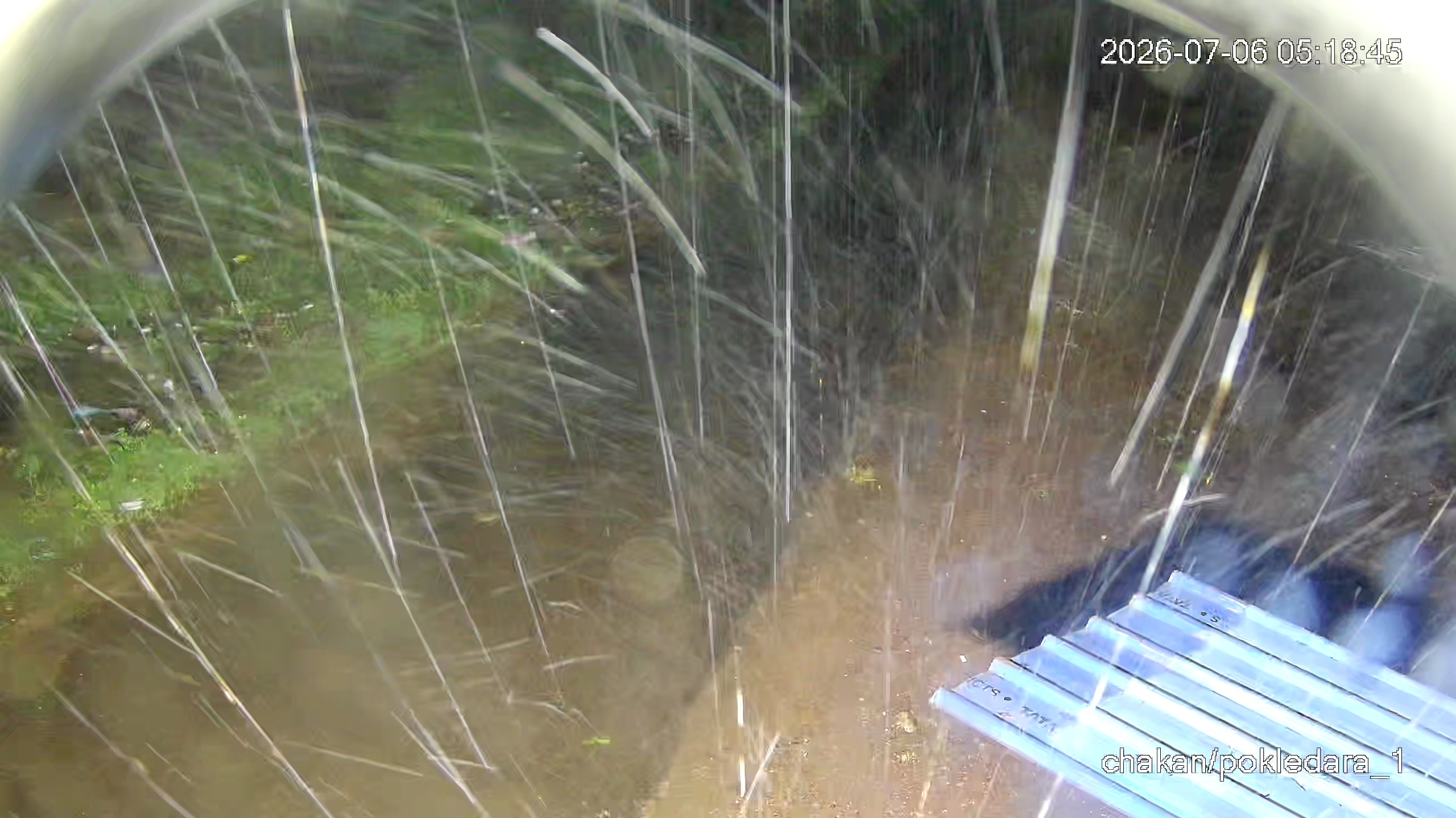 Leopard Image