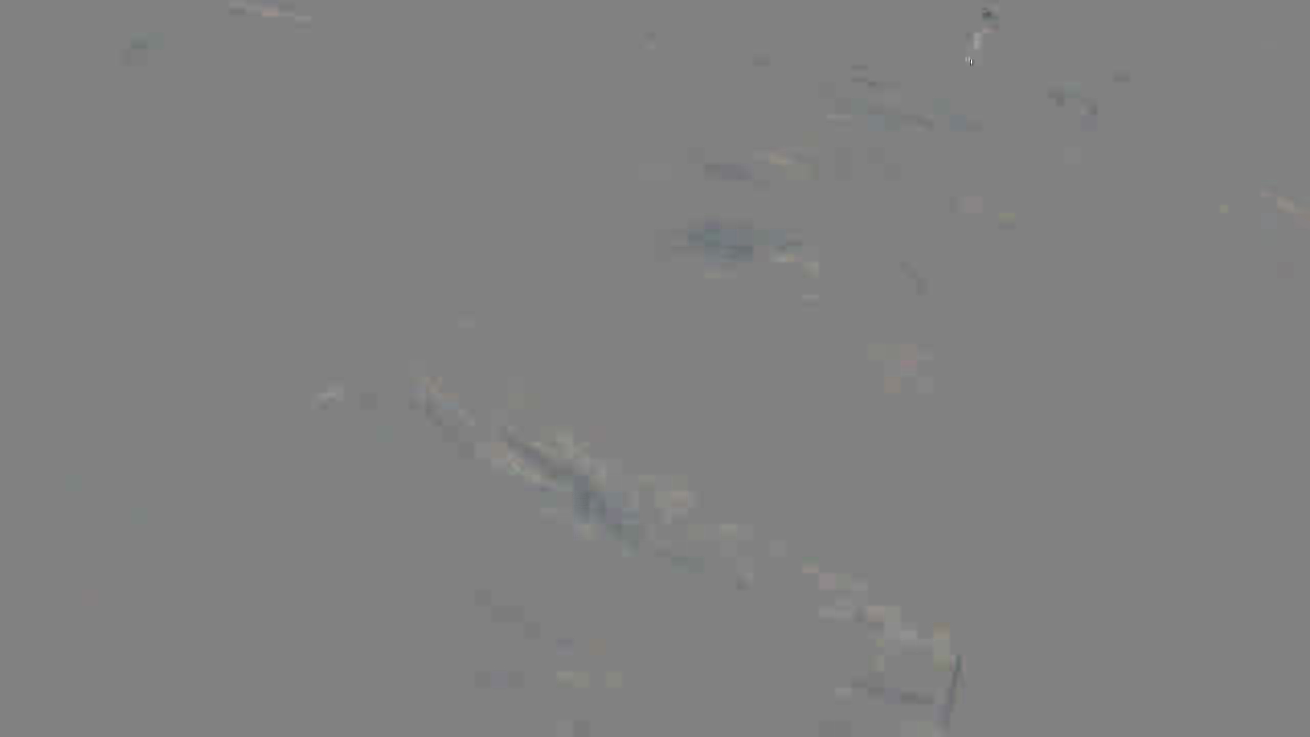 Leopard Image
