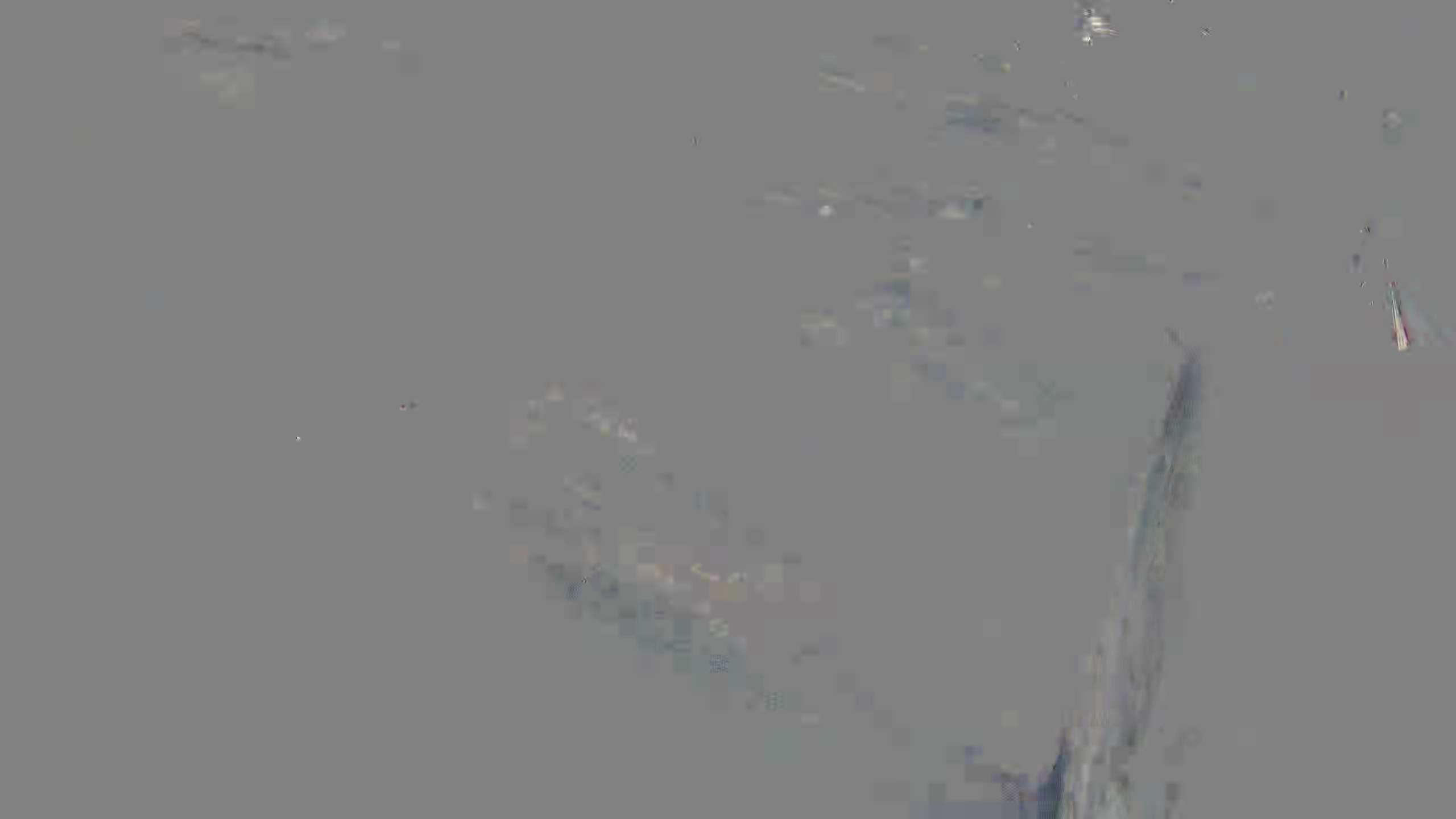 Leopard Image