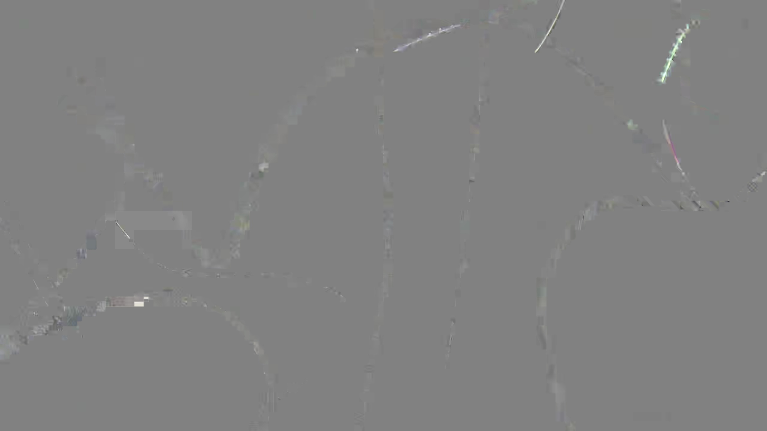 Leopard Image