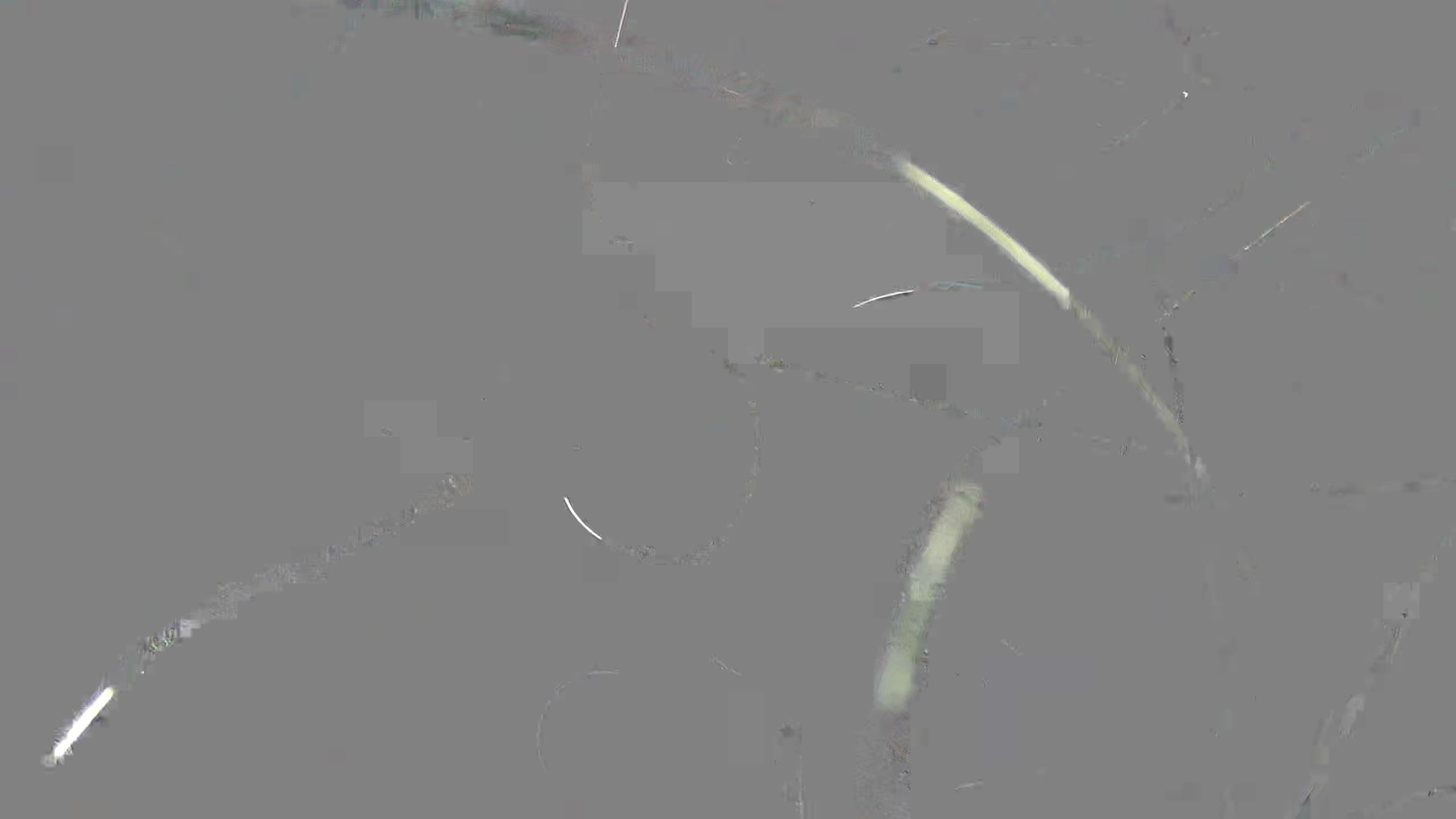 Leopard Image
