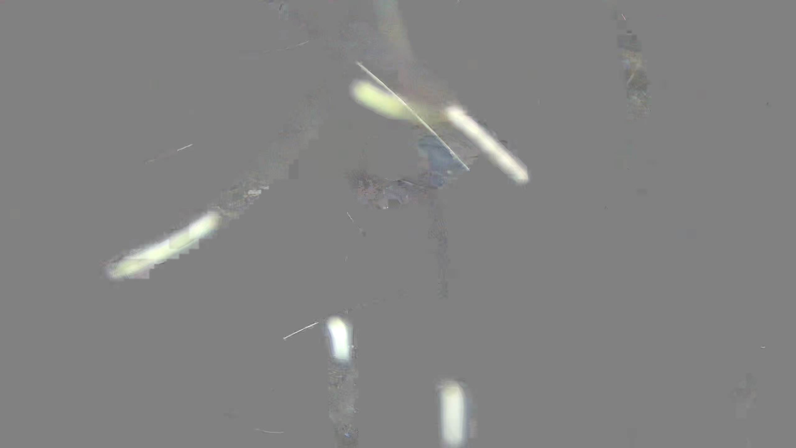 Leopard Image