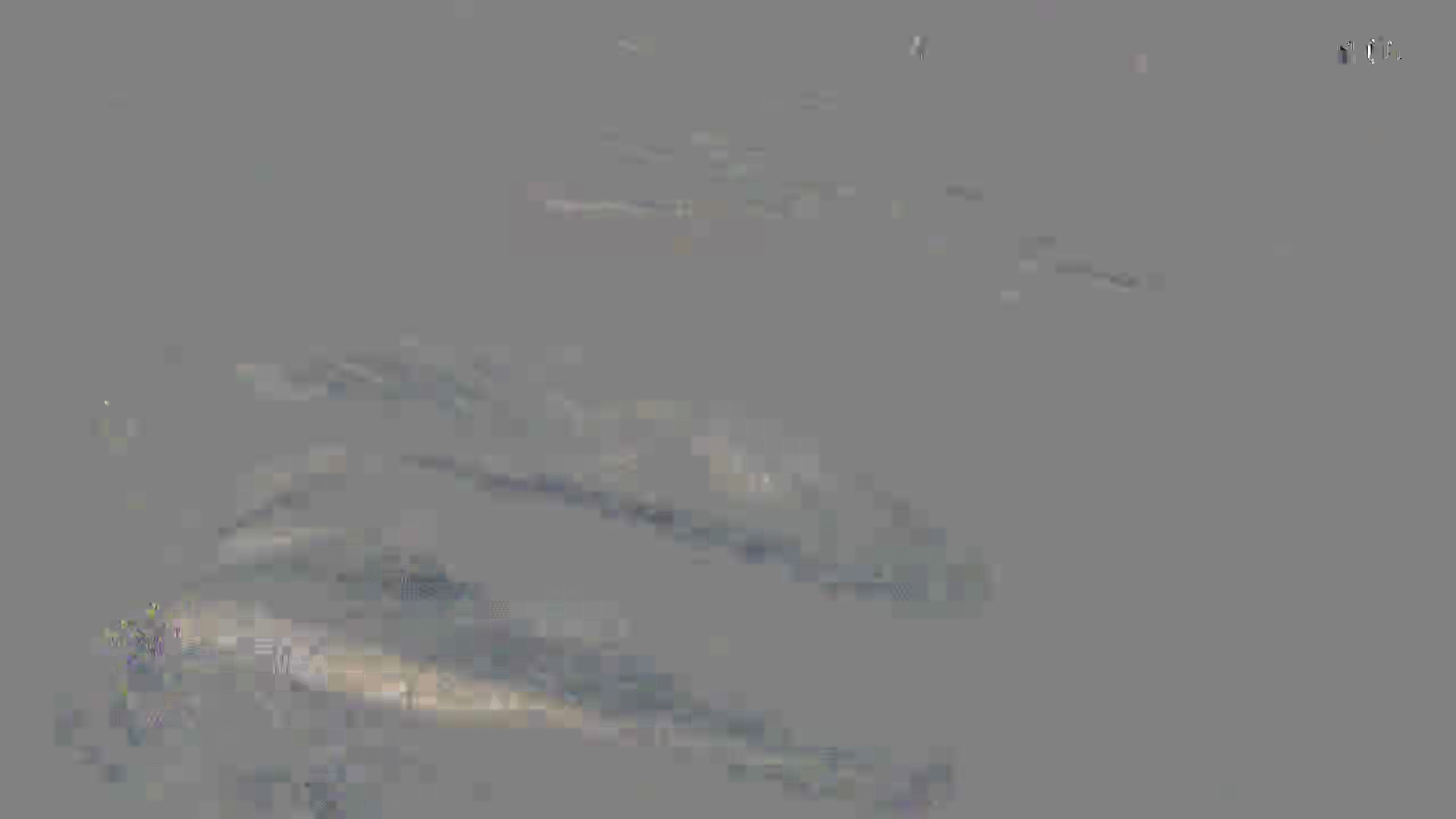 Leopard Image