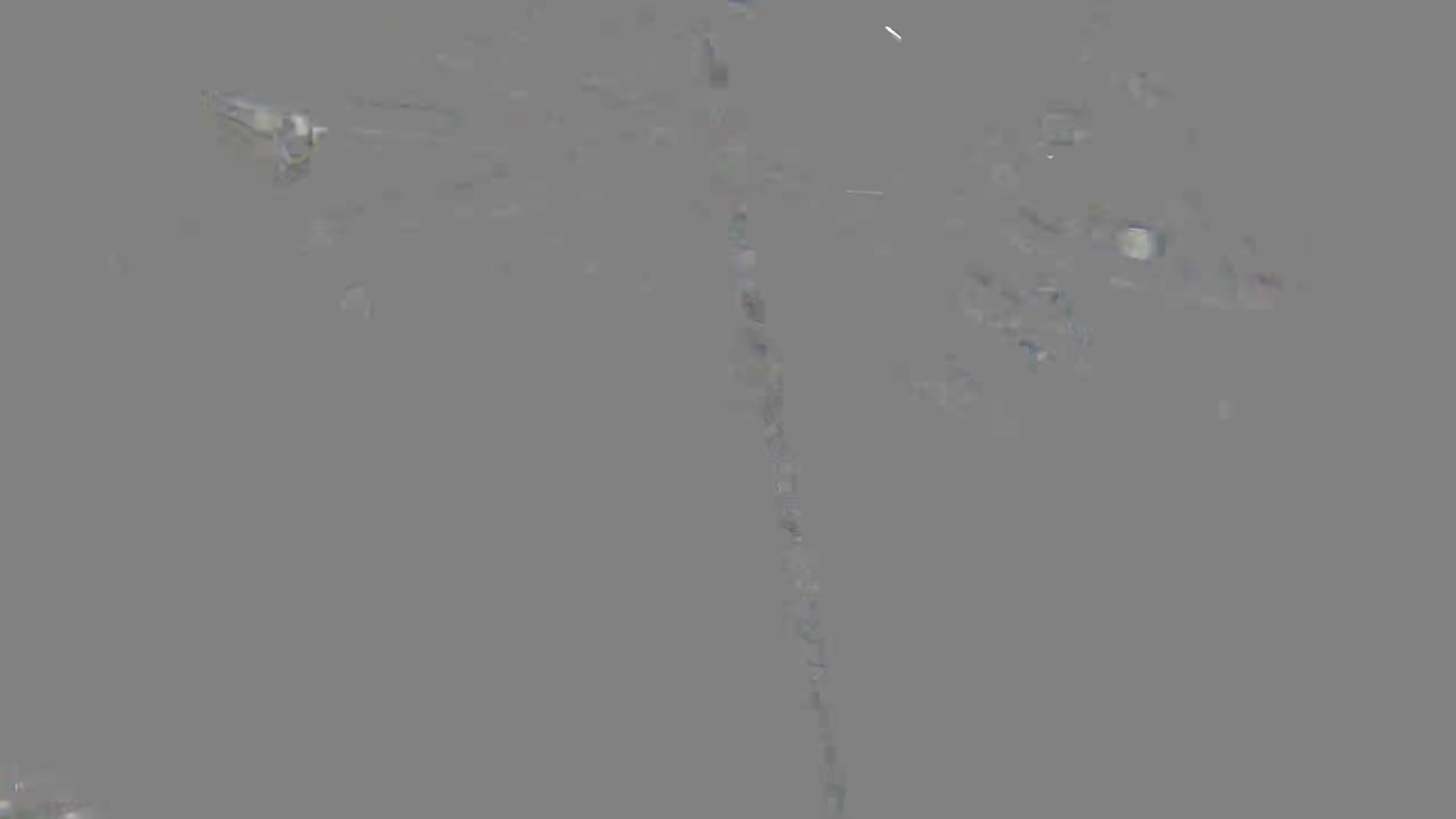 Leopard Image