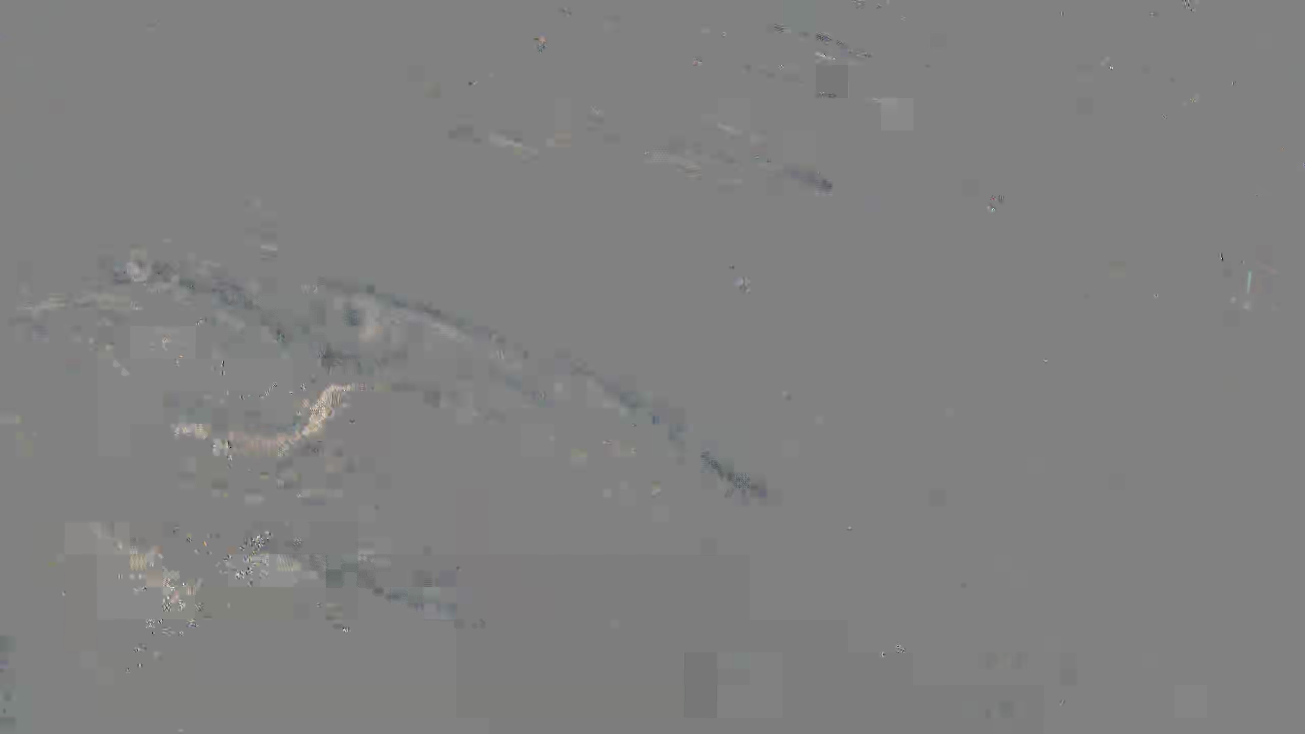 Leopard Image
