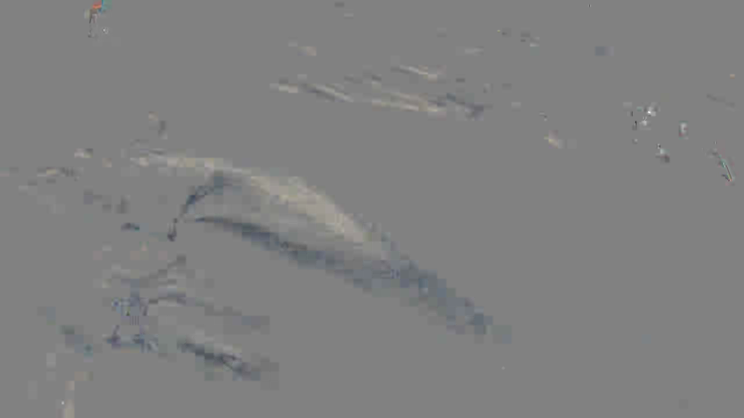 Leopard Image
