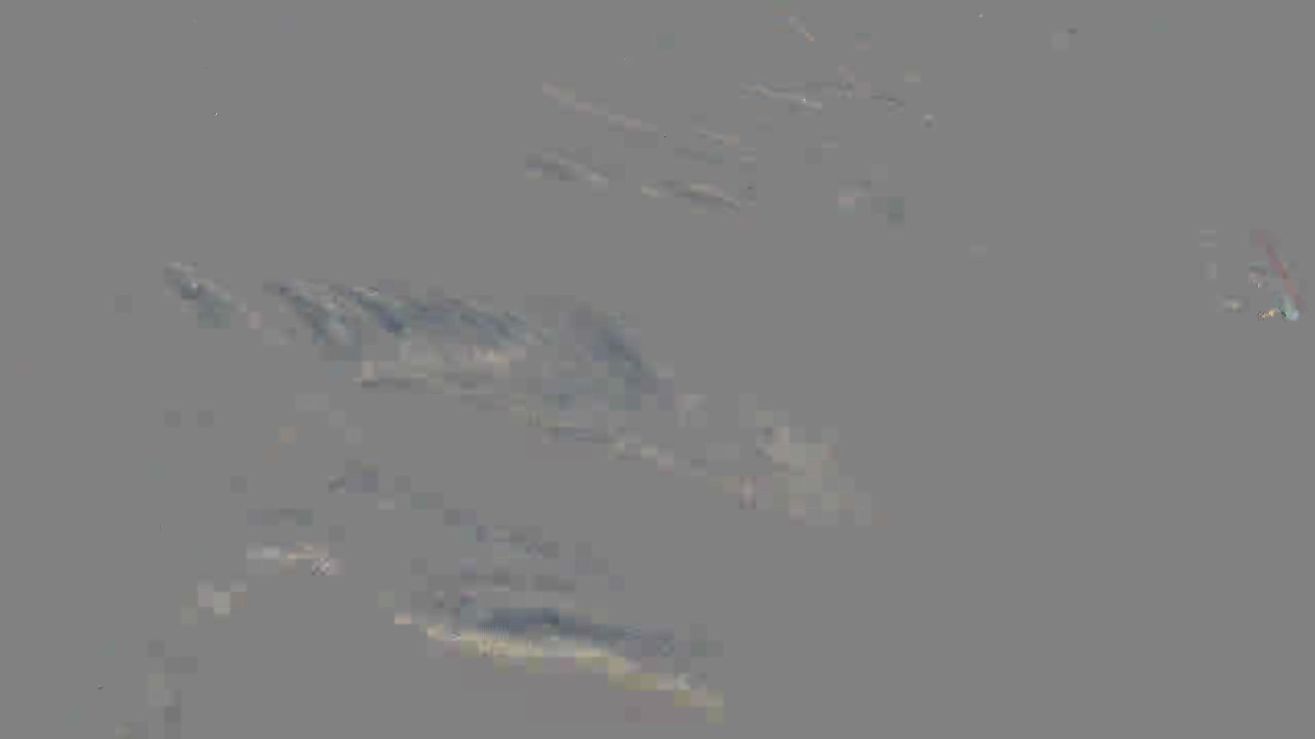 Leopard Image