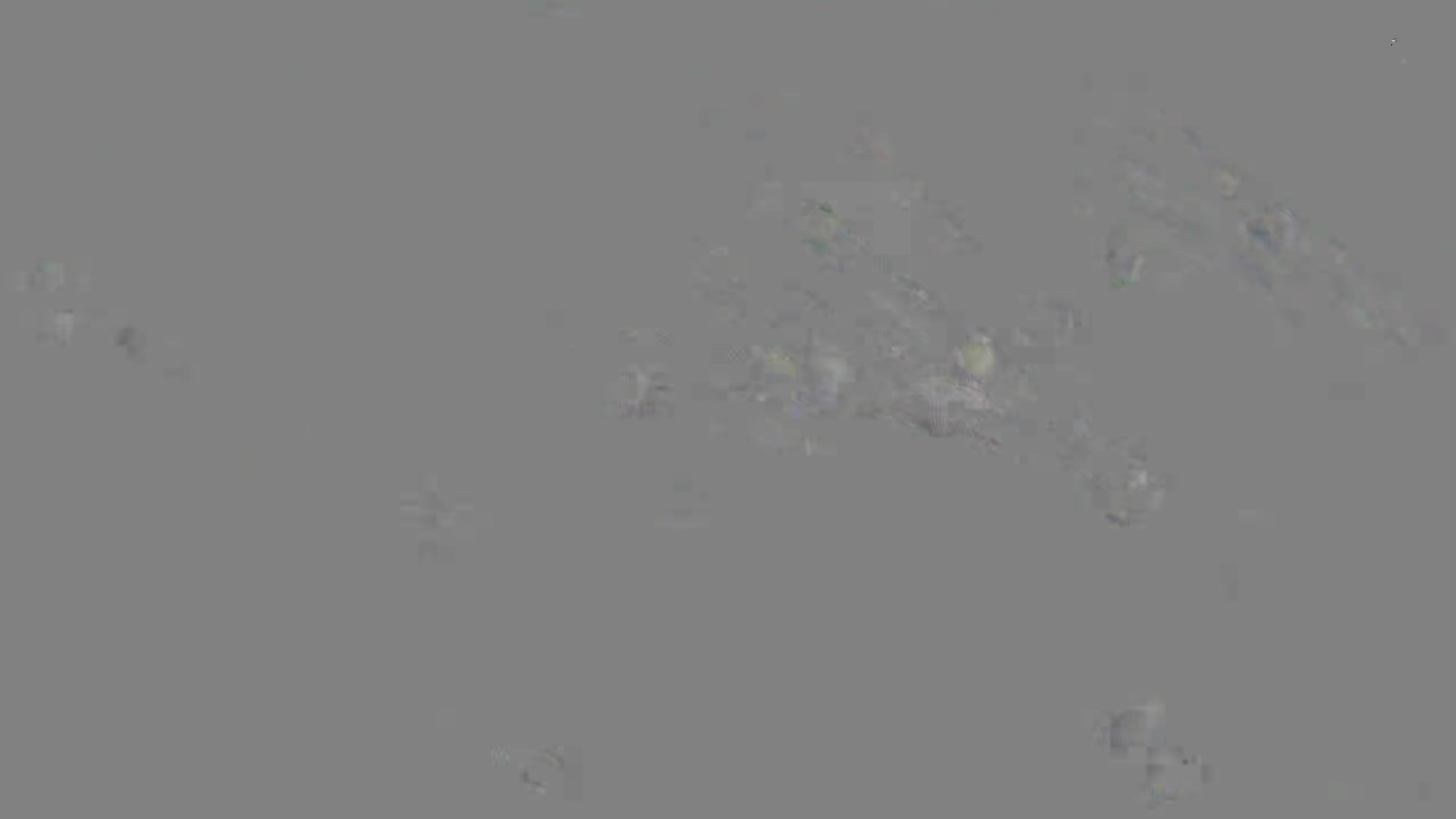 Leopard Image