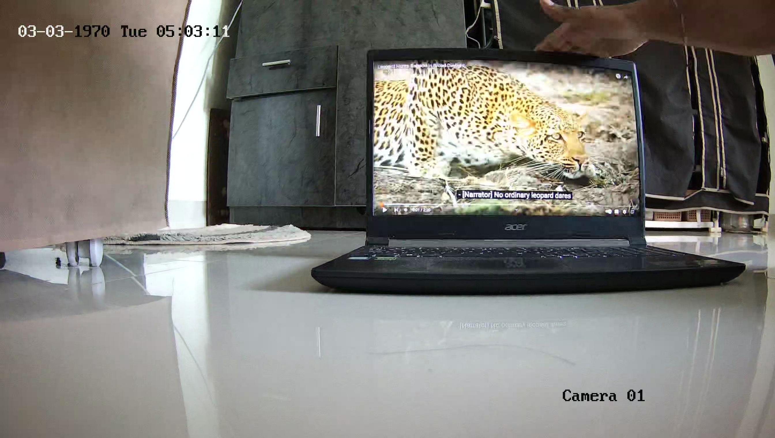 Leopard Image