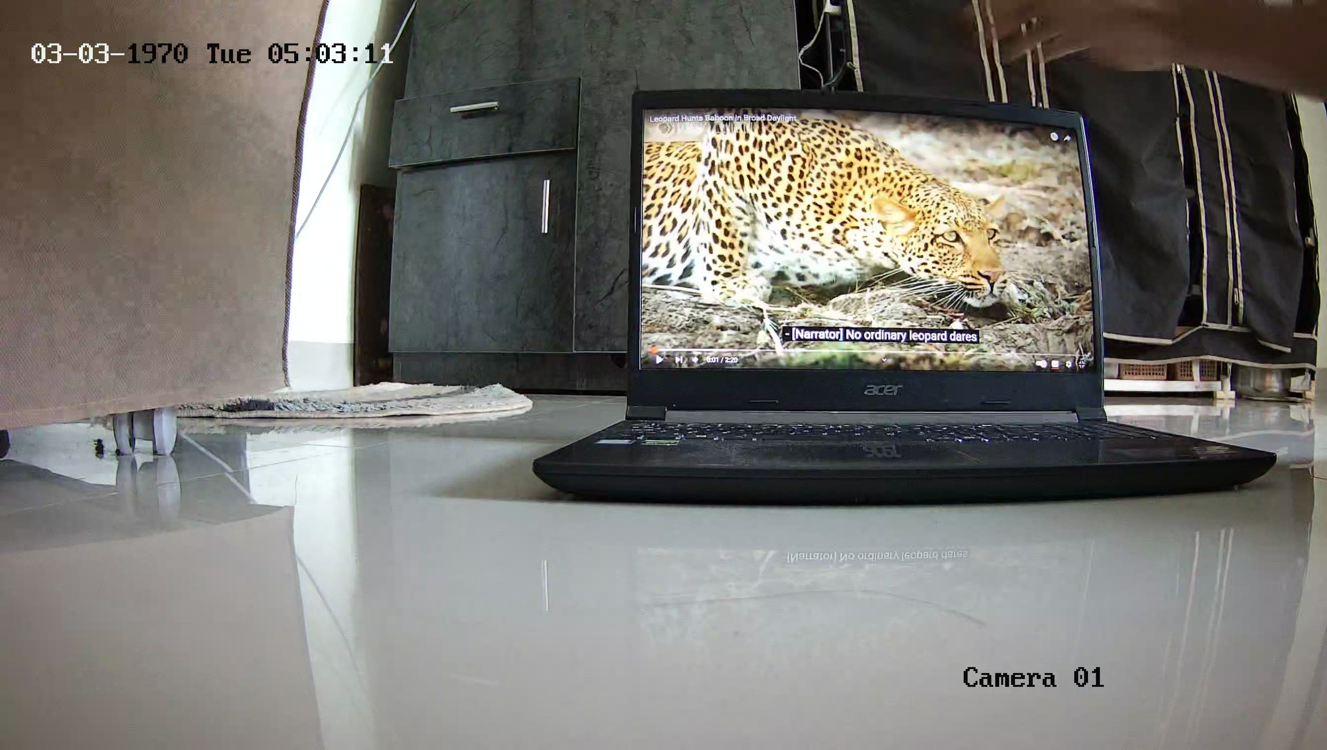 Leopard Image