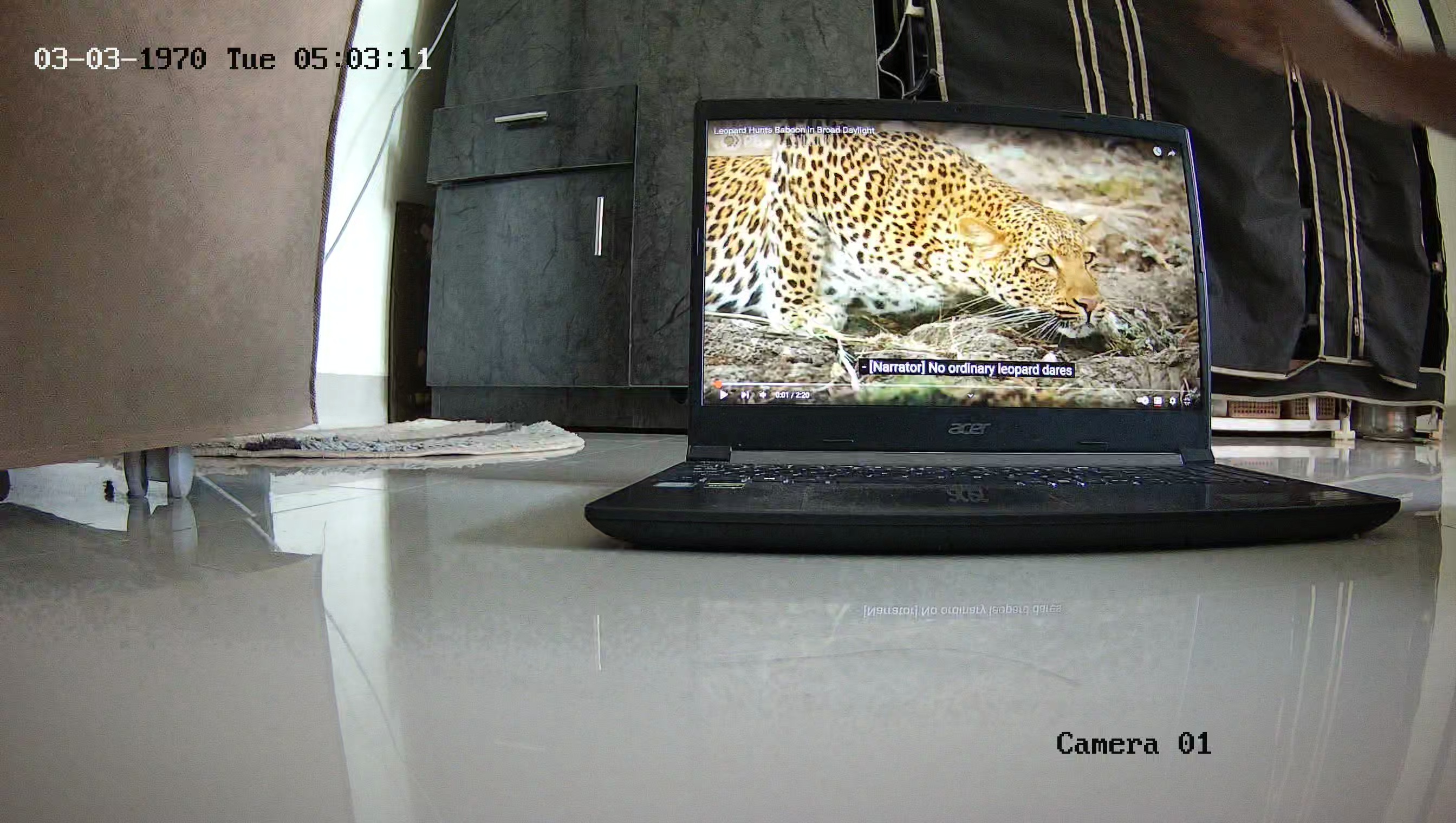 Leopard Image