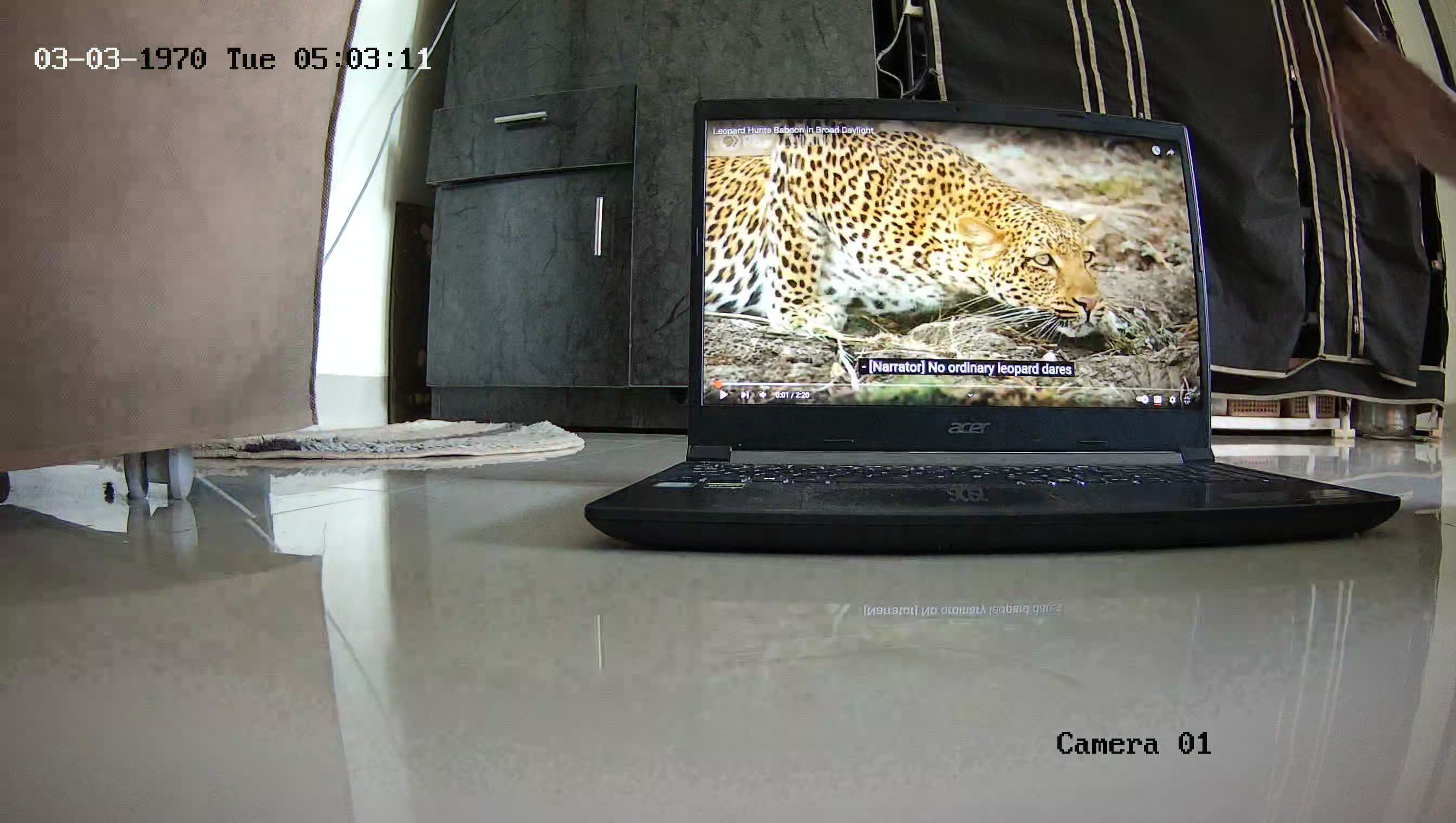 Leopard Image