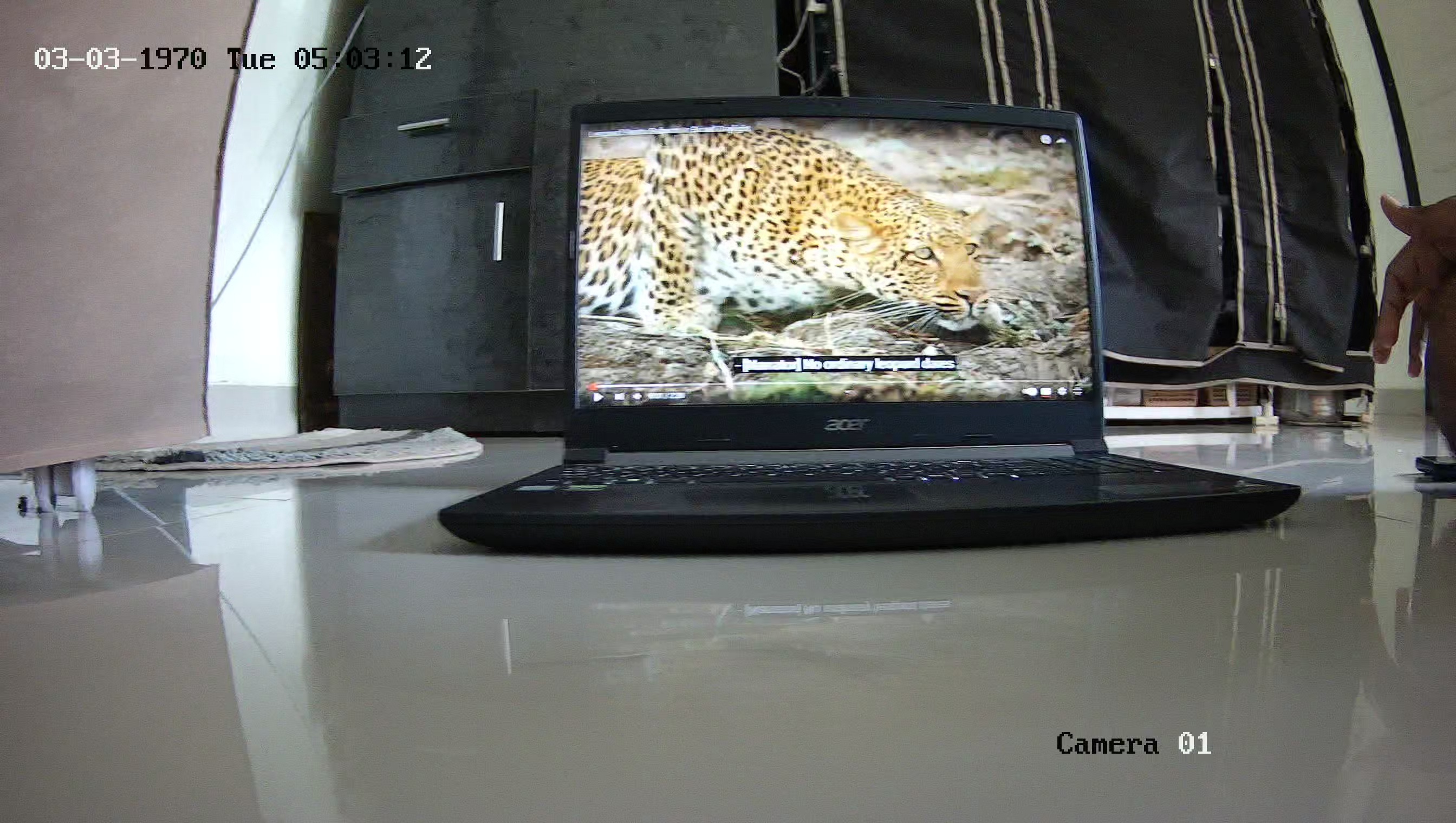 Leopard Image