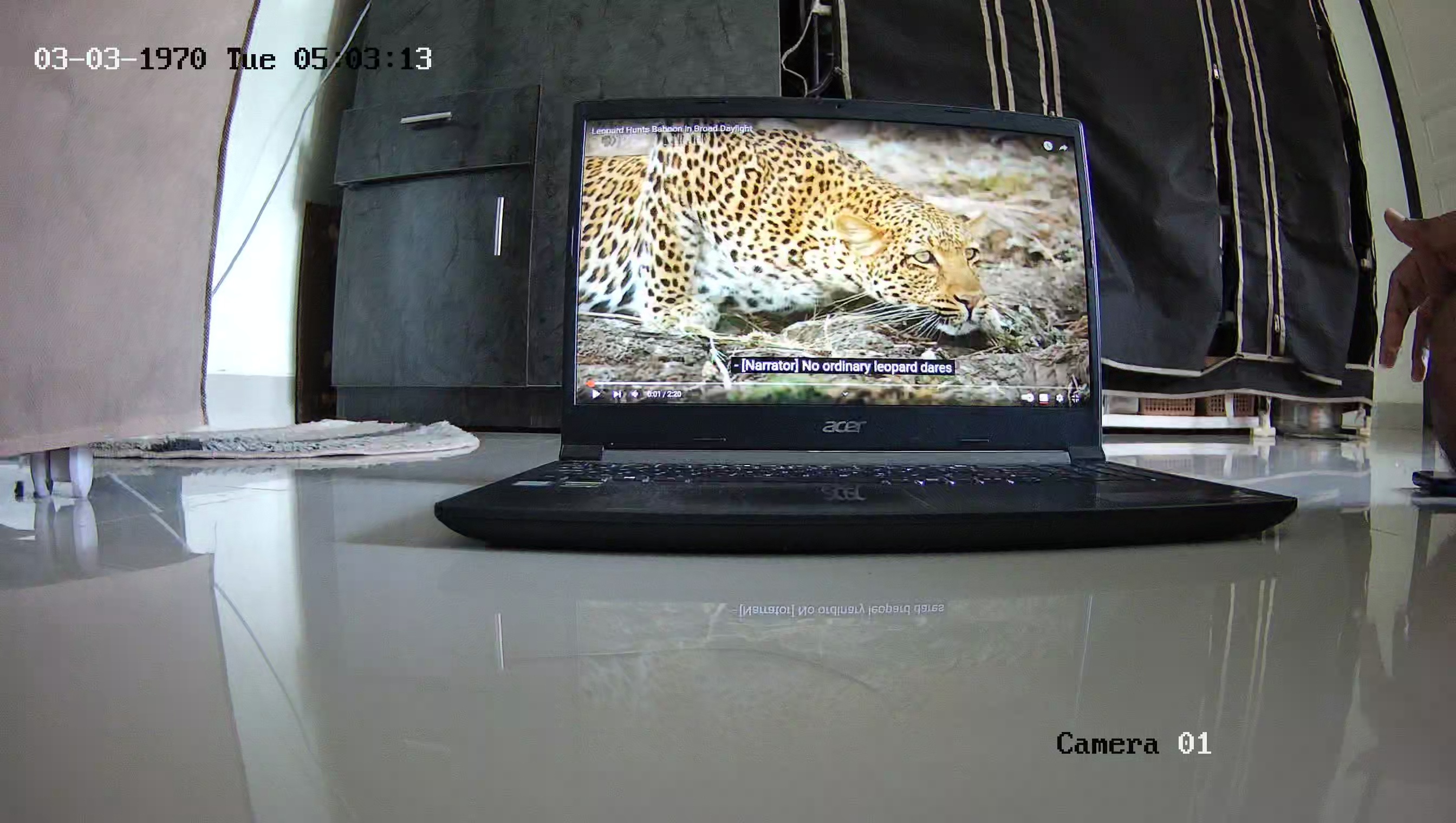 Leopard Image