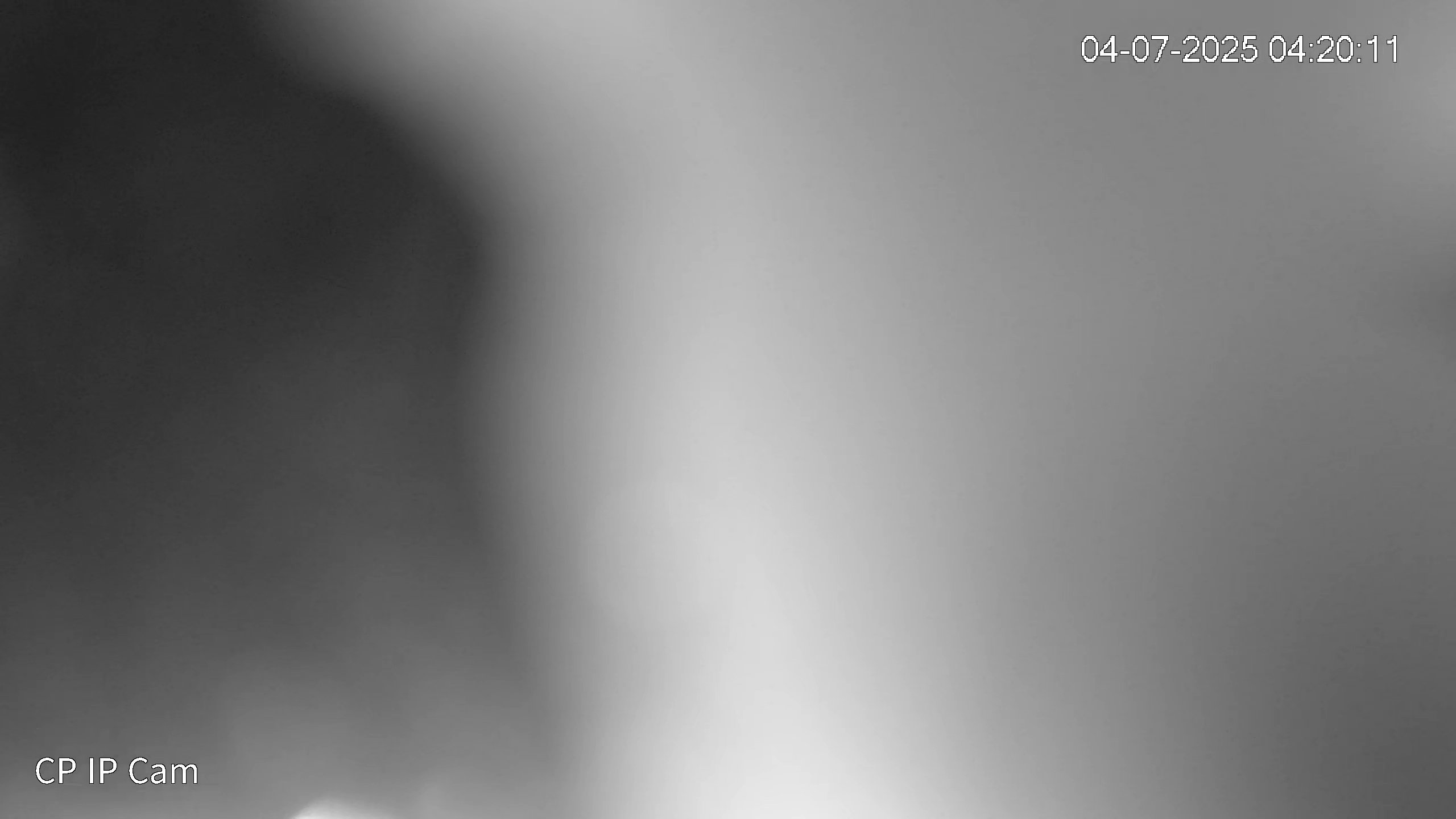 Leopard Image