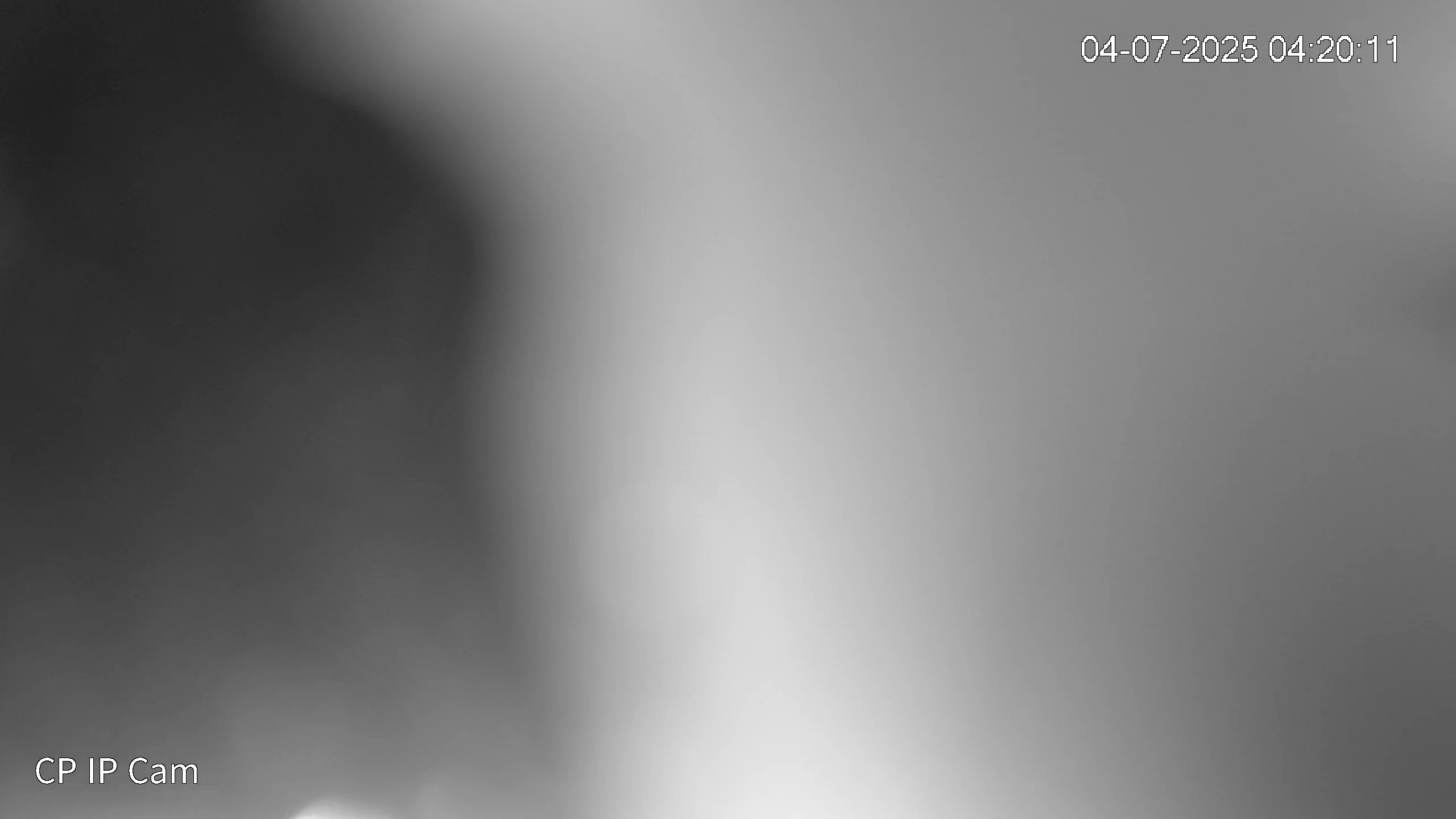 Leopard Image