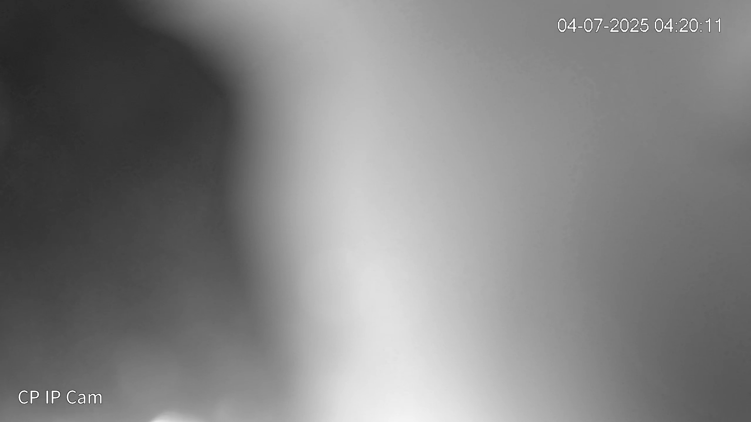 Leopard Image