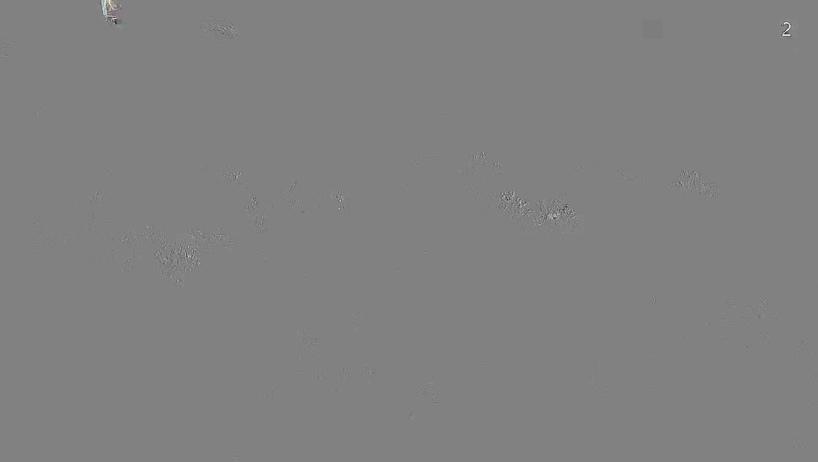 Leopard Image