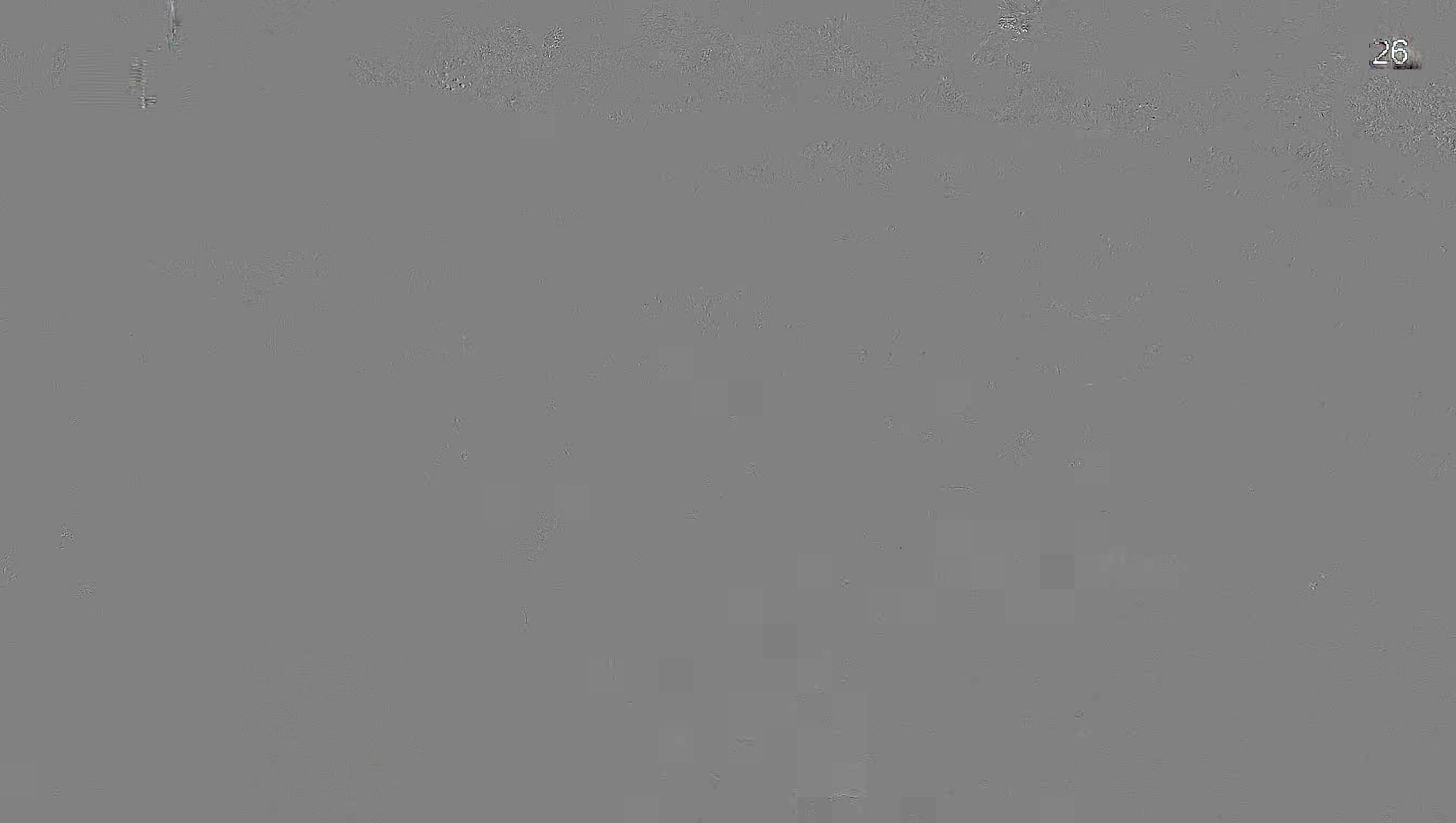 Leopard Image