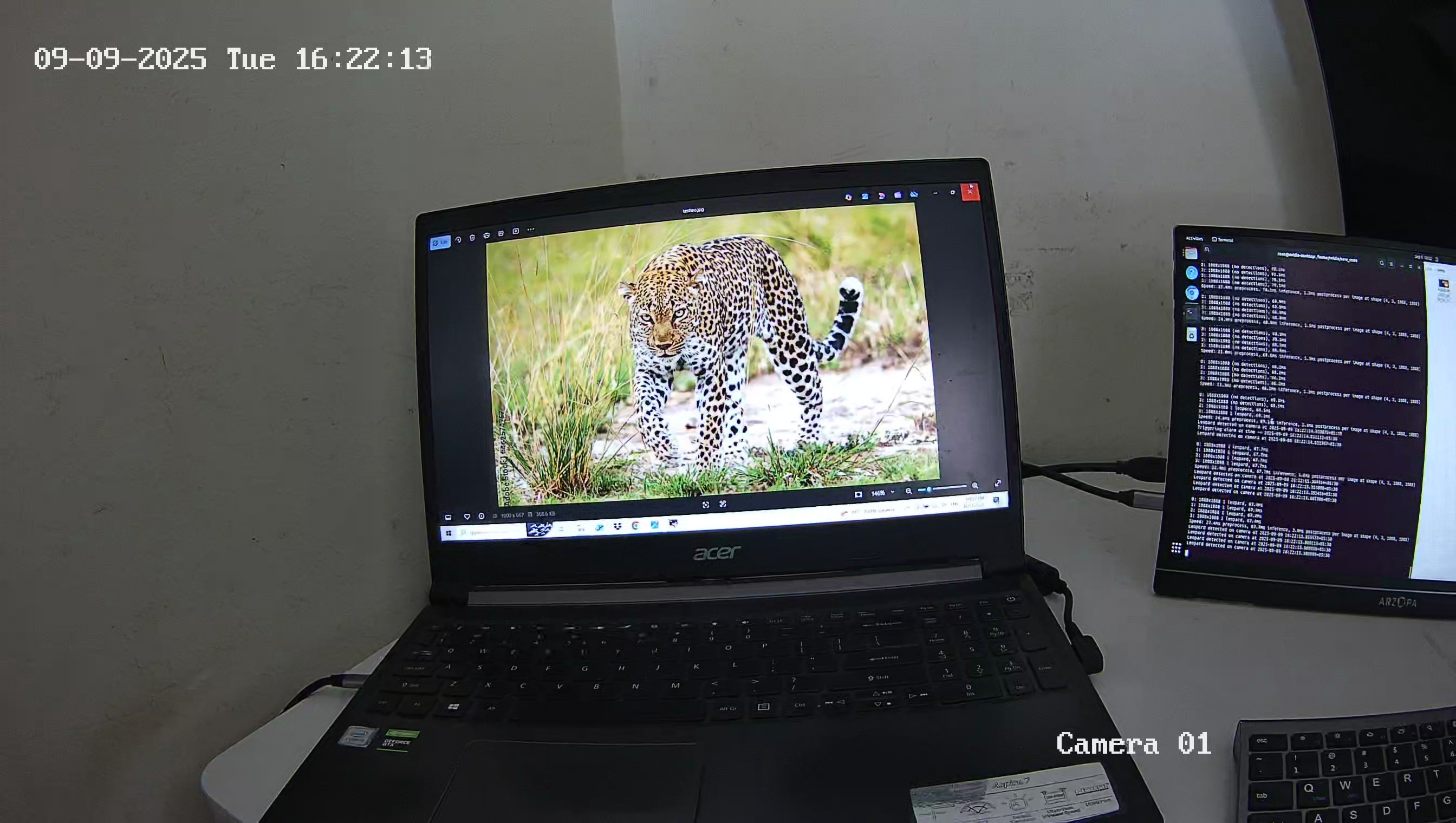 Leopard Image