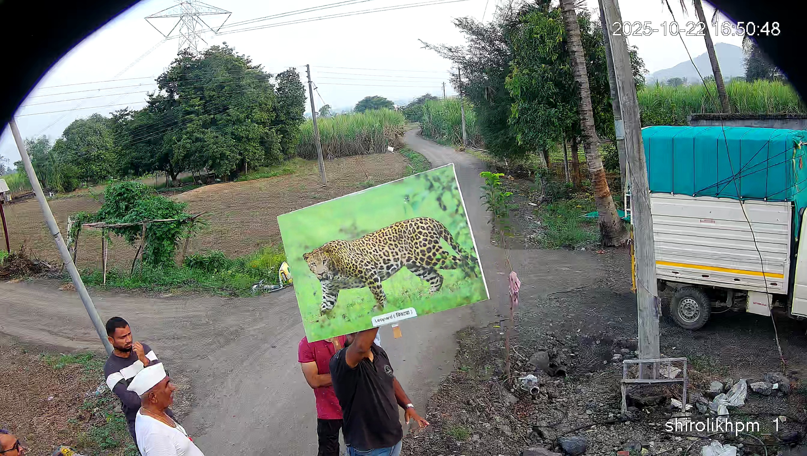 Leopard Image