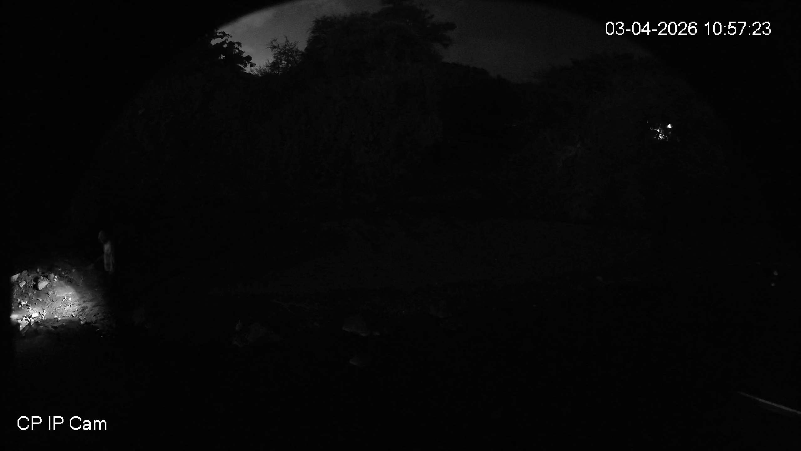 Leopard Image