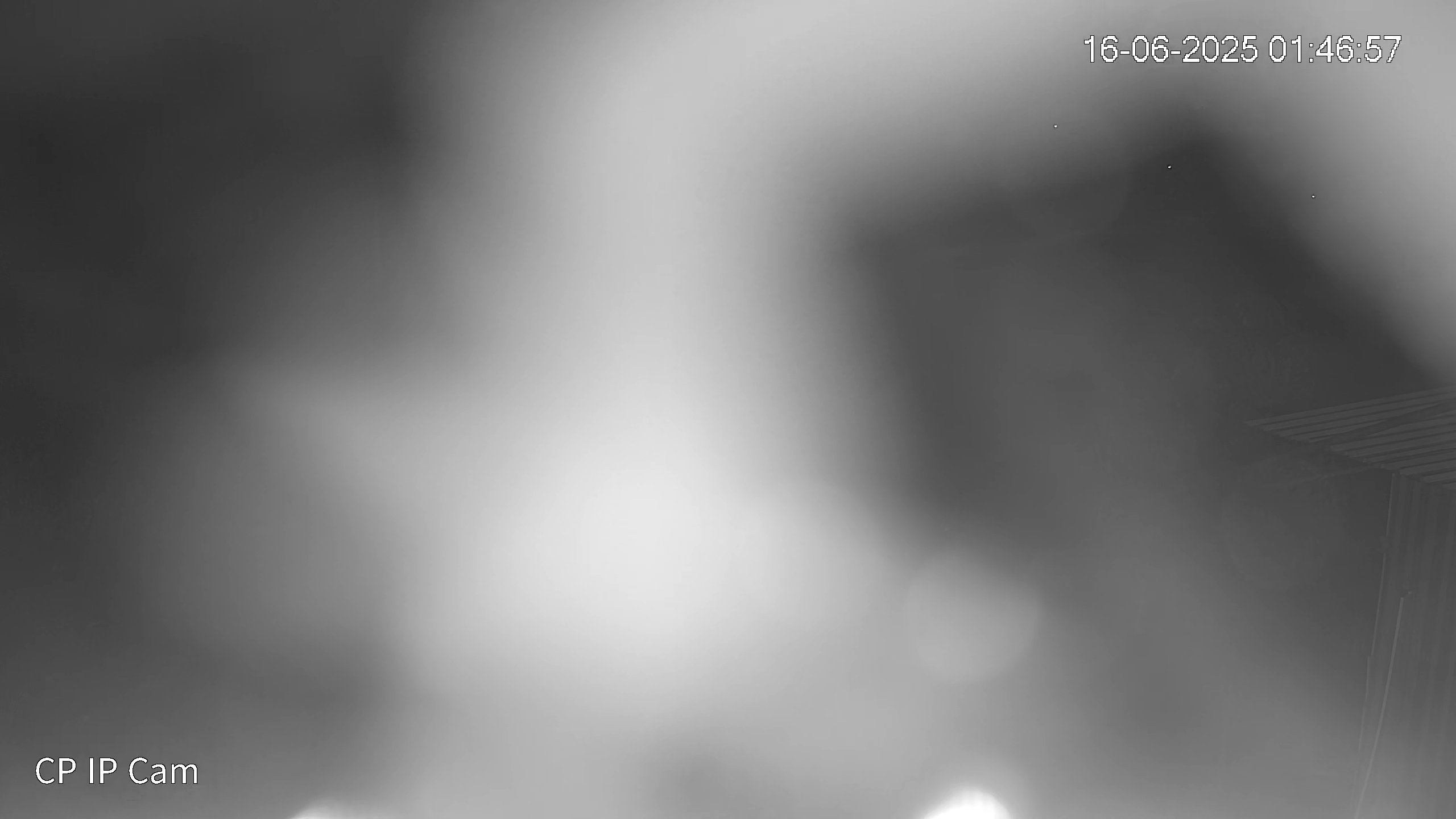 Leopard Image