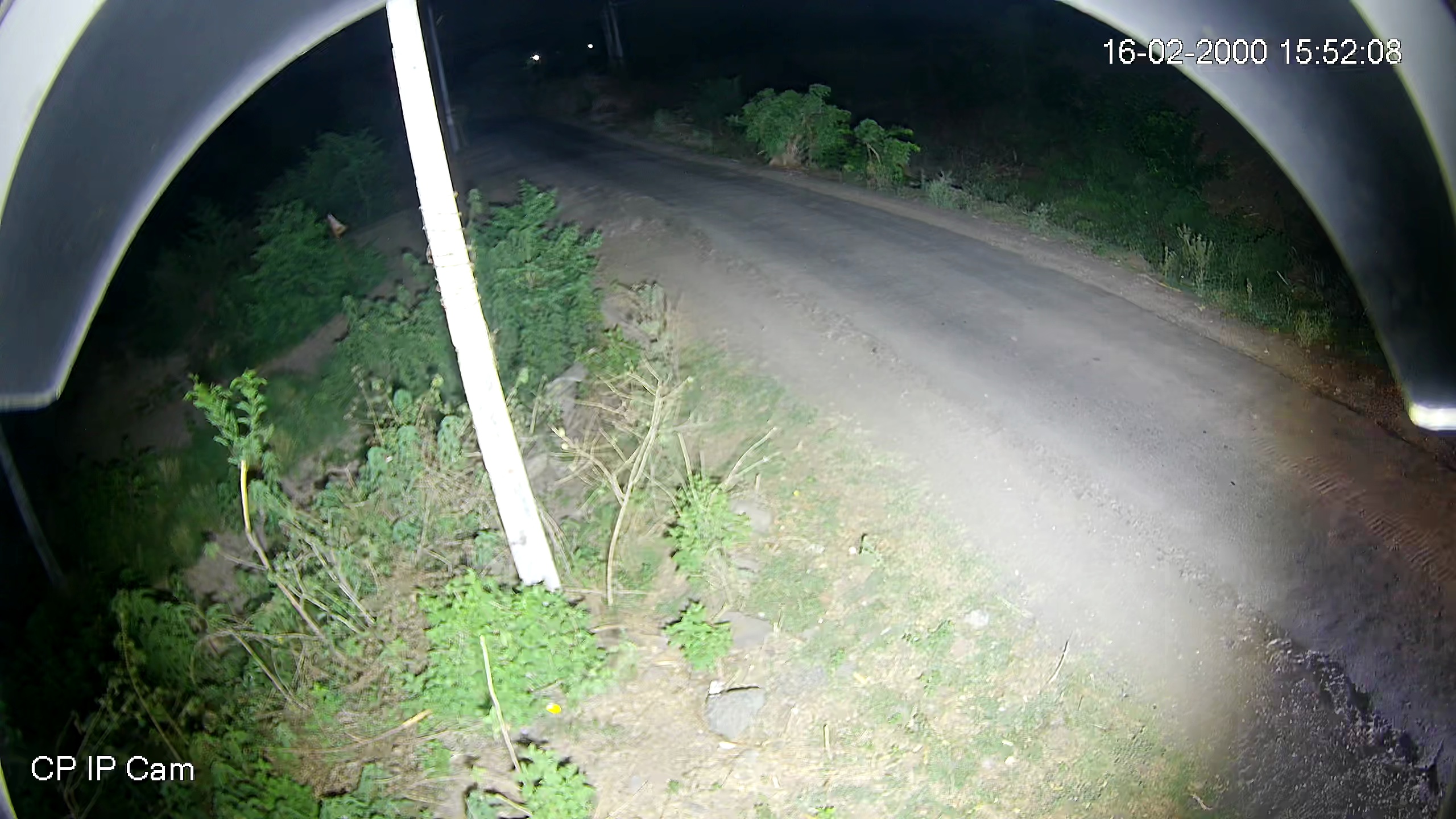 Leopard Image