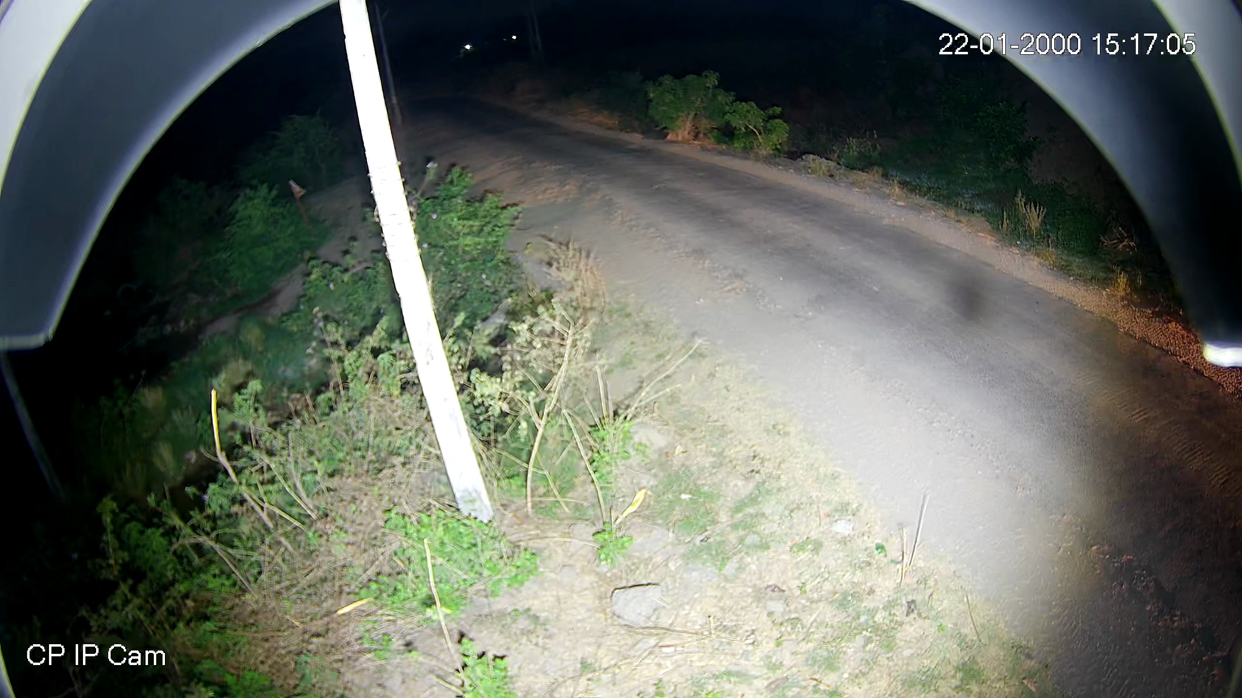 Leopard Image