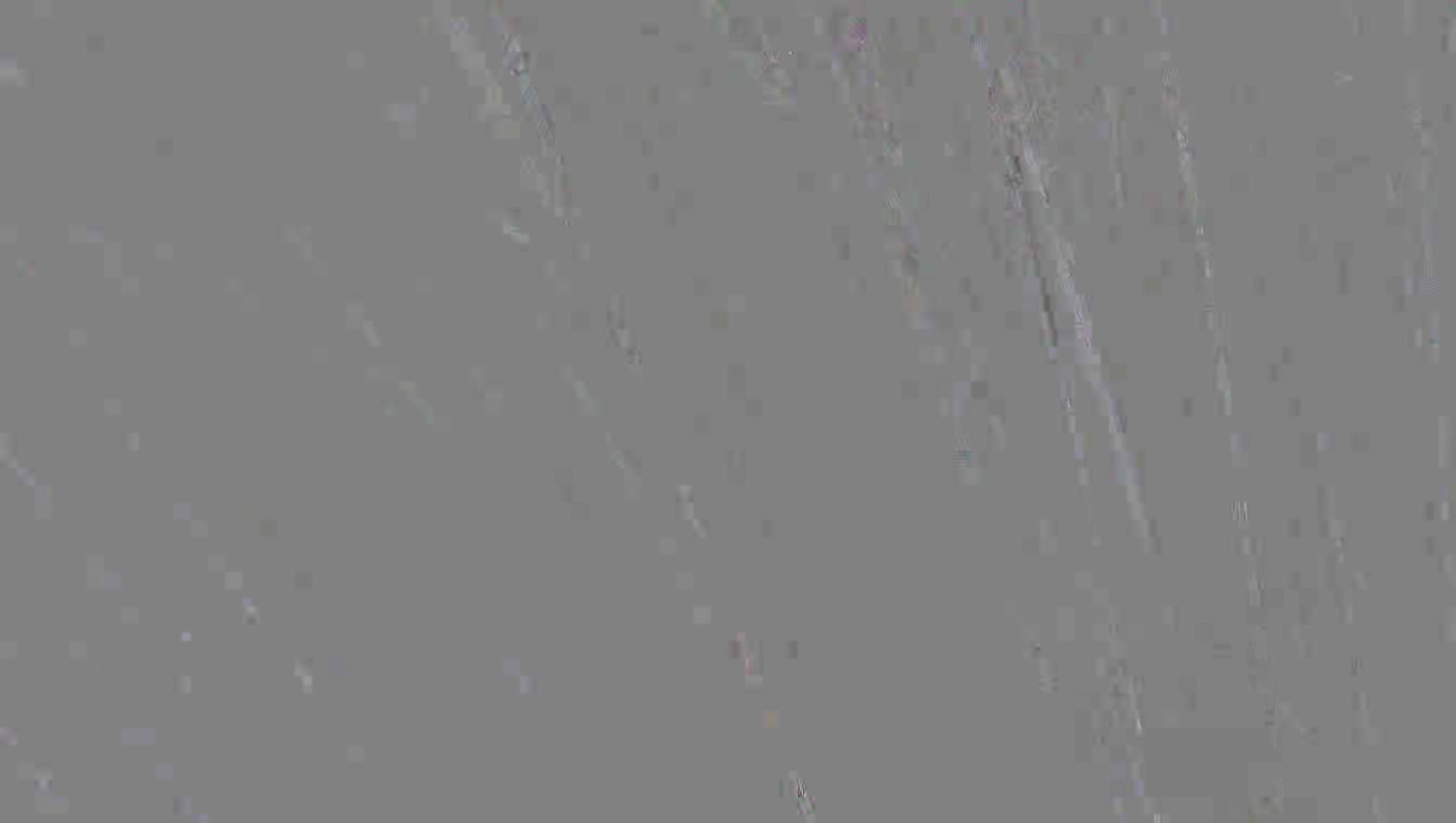 Leopard Image