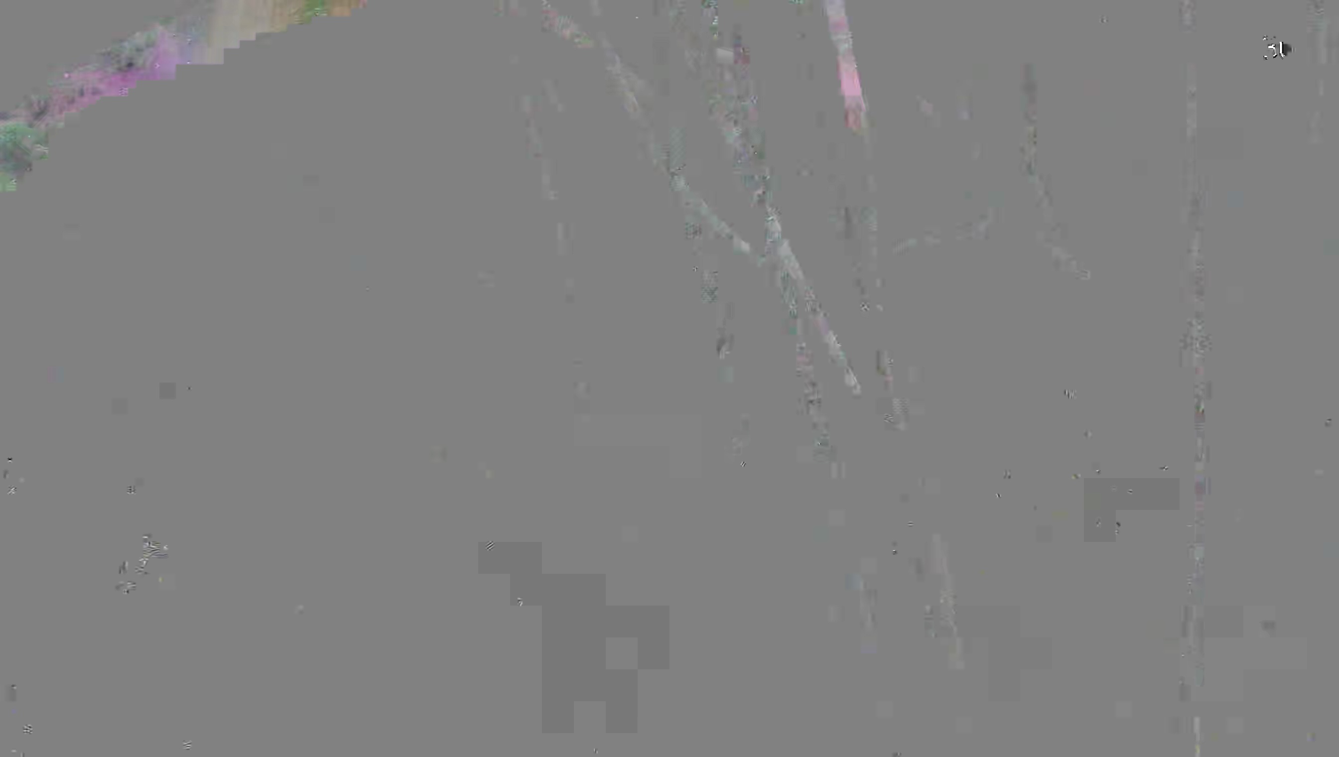 Leopard Image