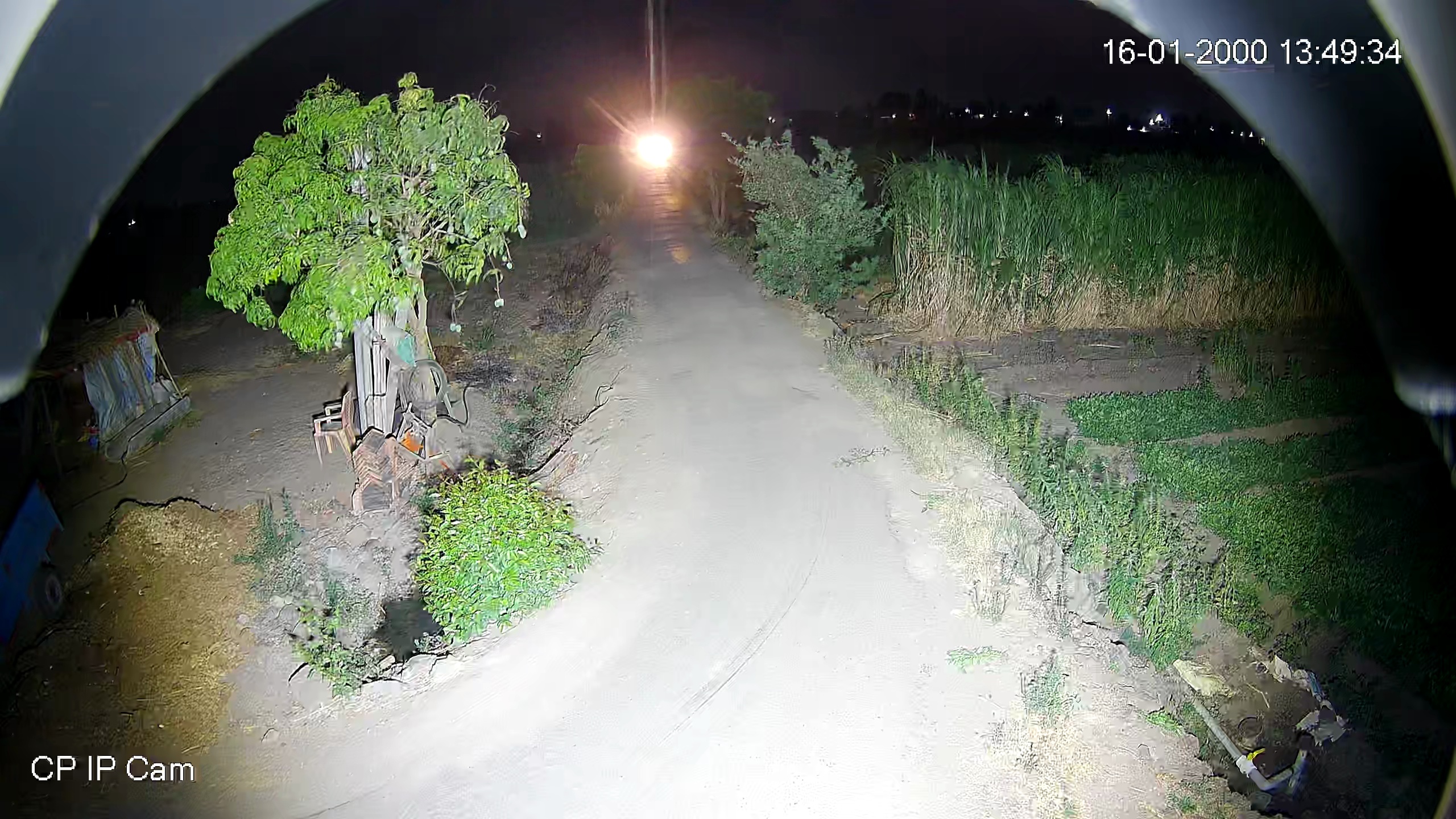 Leopard Image