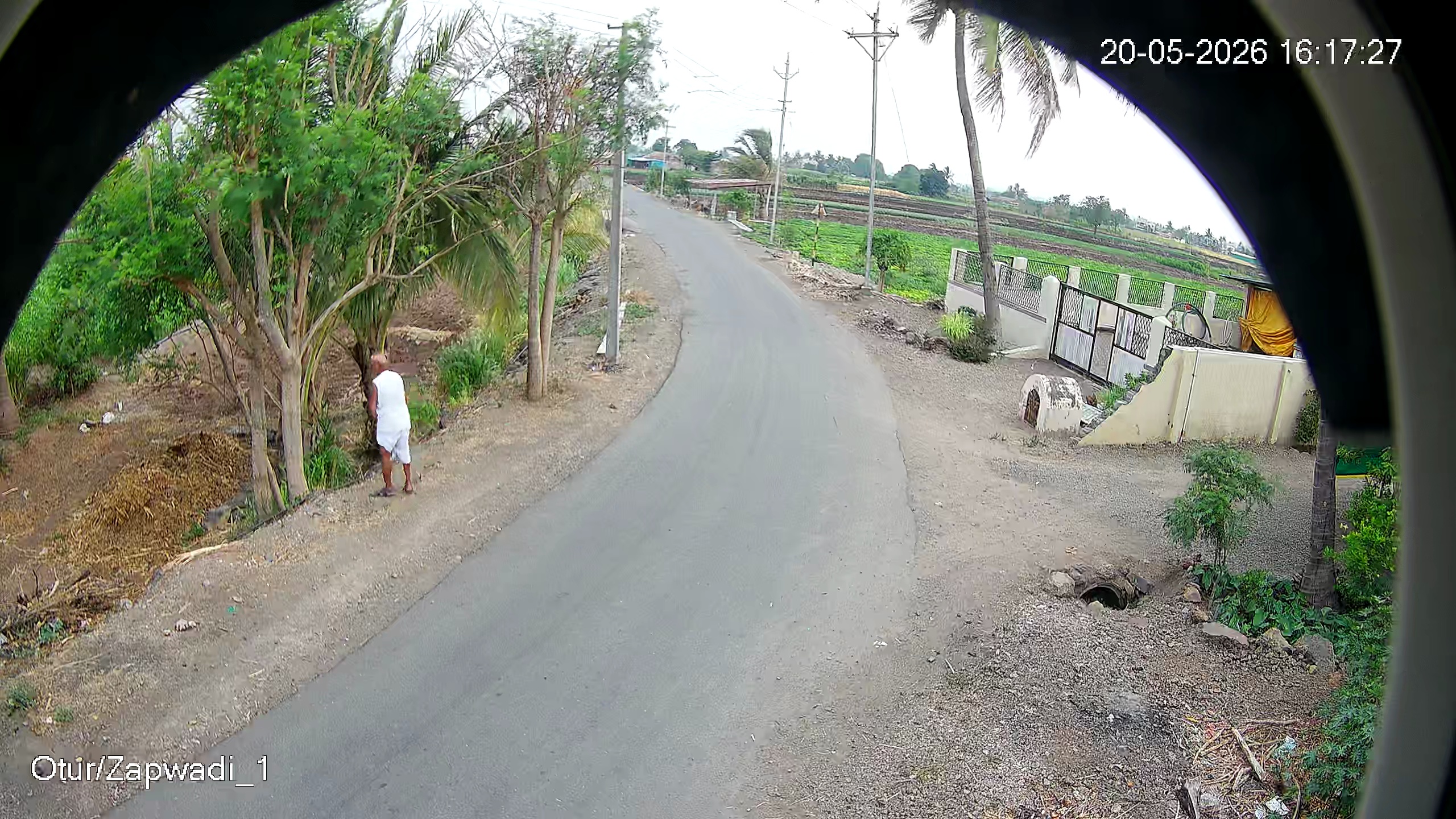 Leopard Image
