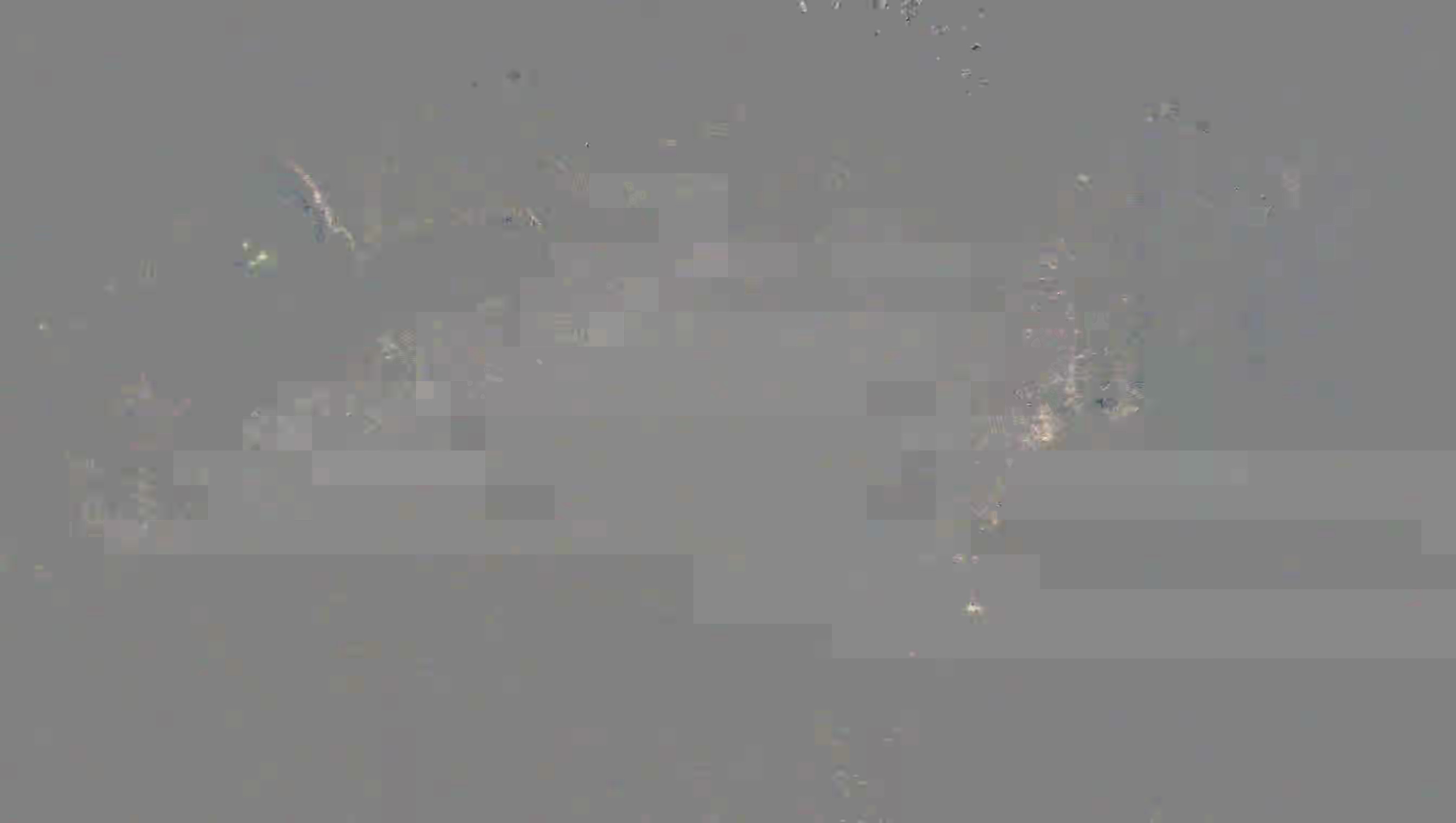 Leopard Image
